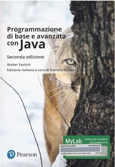 Programmazione di base e avanzata Java libro usato