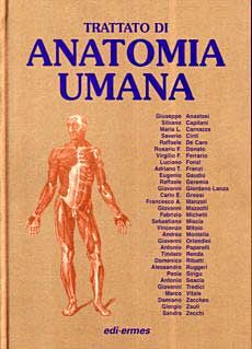 Trattato di Anatomia Umana Volume  2- quarta edizione libro usato