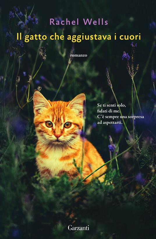IL GATTO CHE AGGIUSTAVA I CUORI libro usato