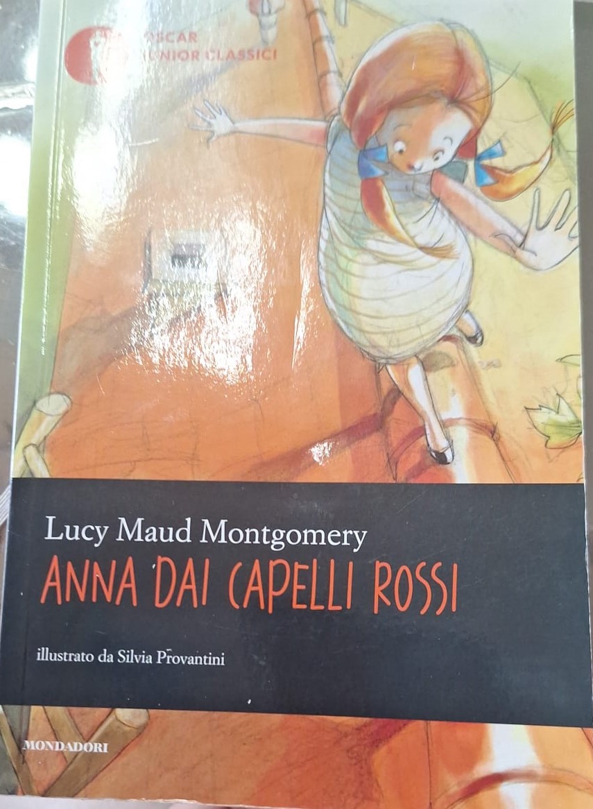 Anna dai capelli rossi libro usato