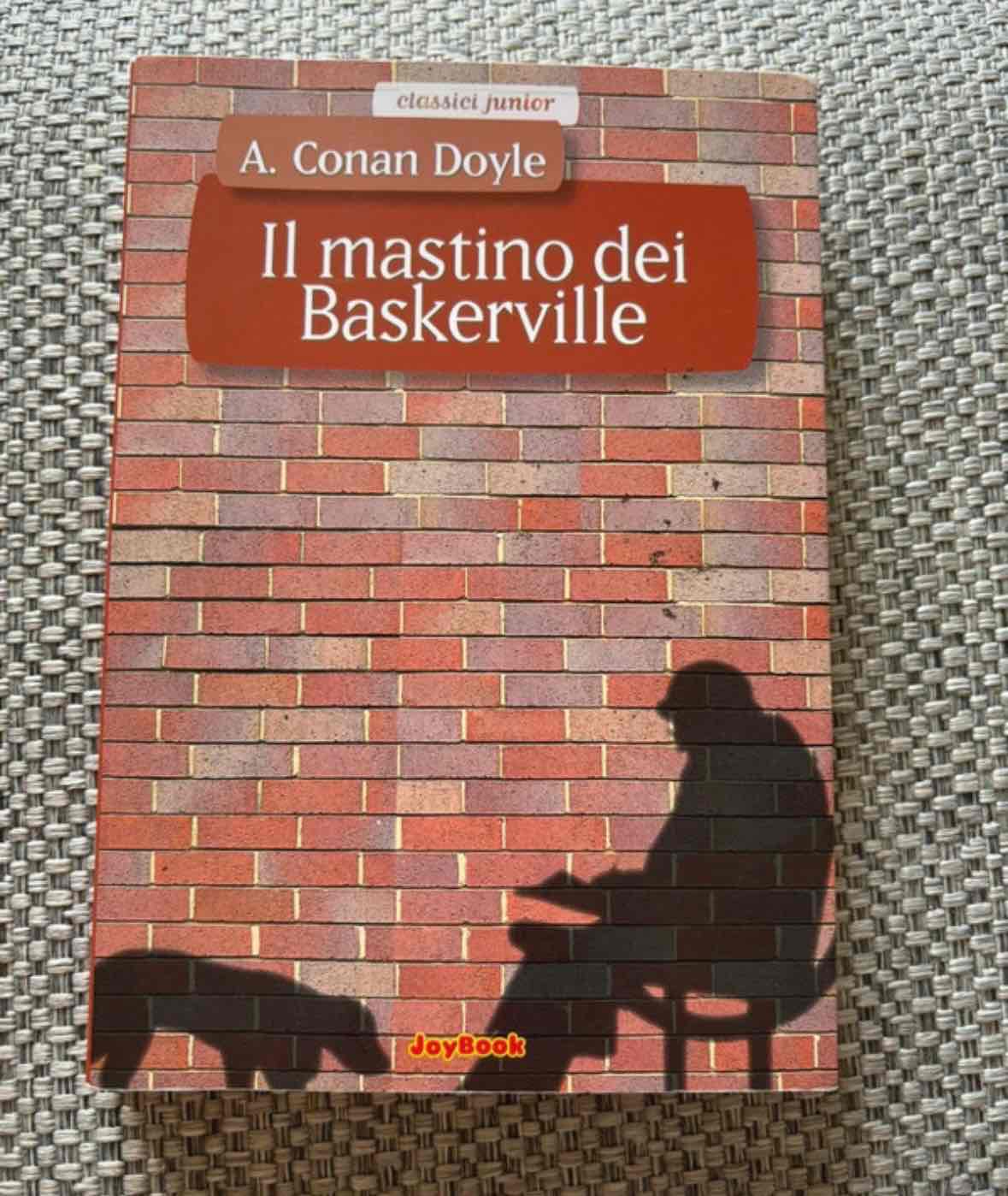 Il mastino dei Baskerville libro usato
