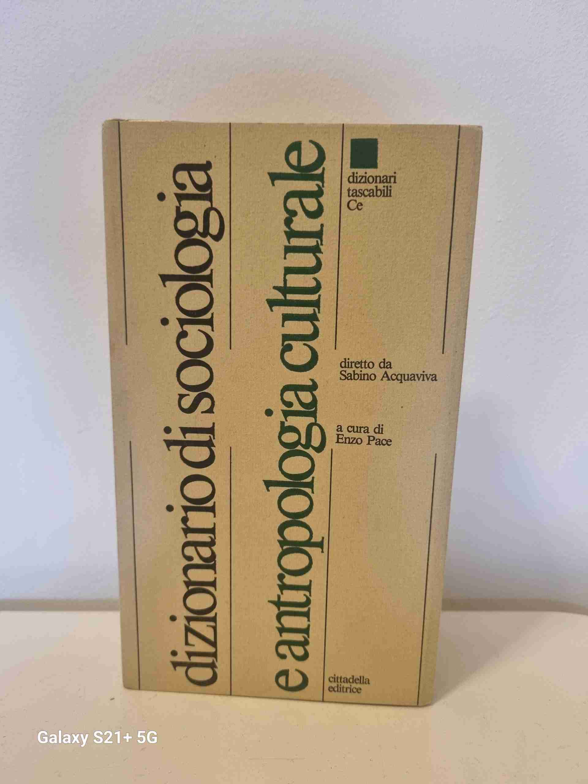 Dizionario di sociologia e antropologia culturale libro usato
