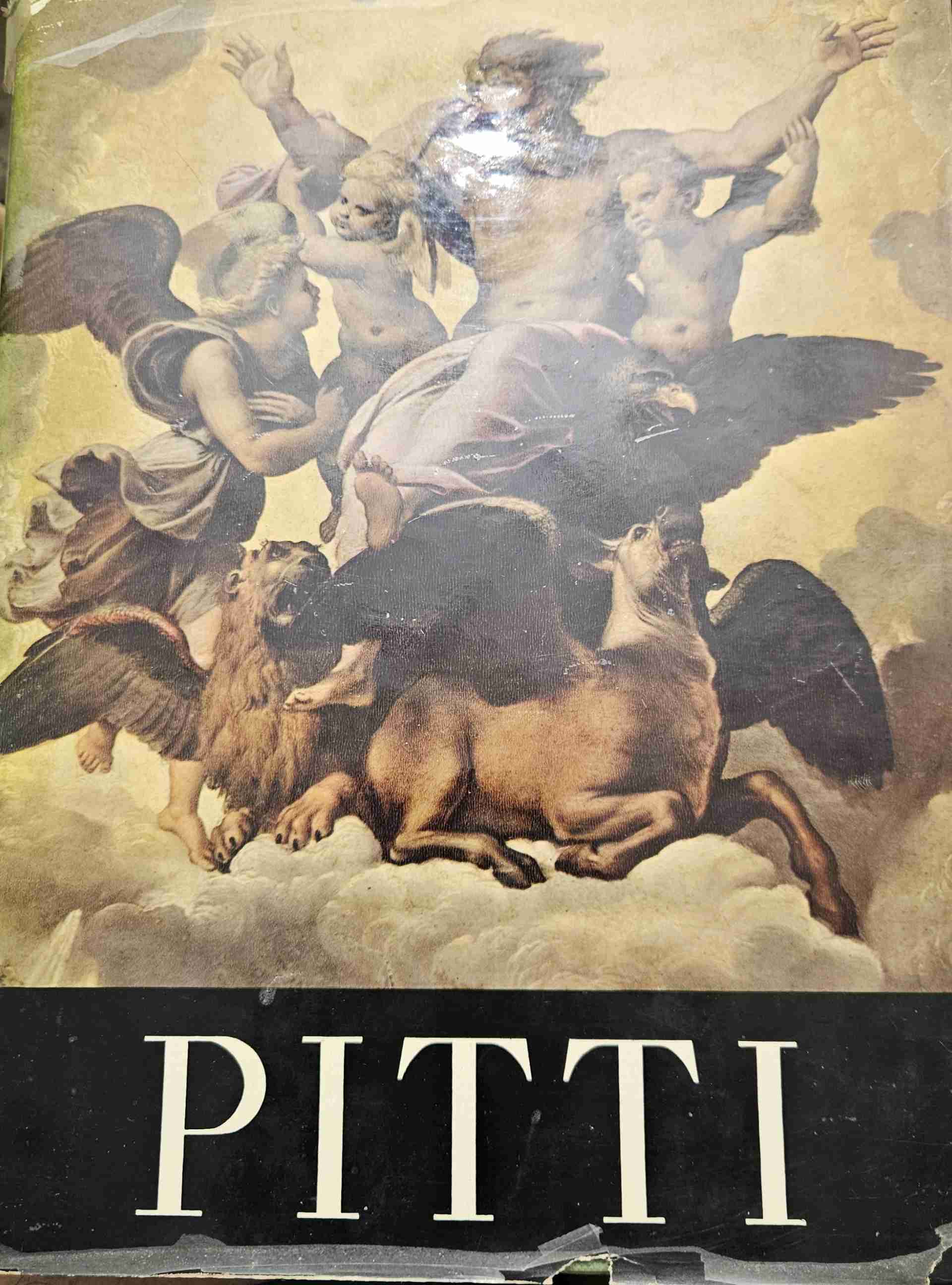 Pitti Galleria Palatina libro usato