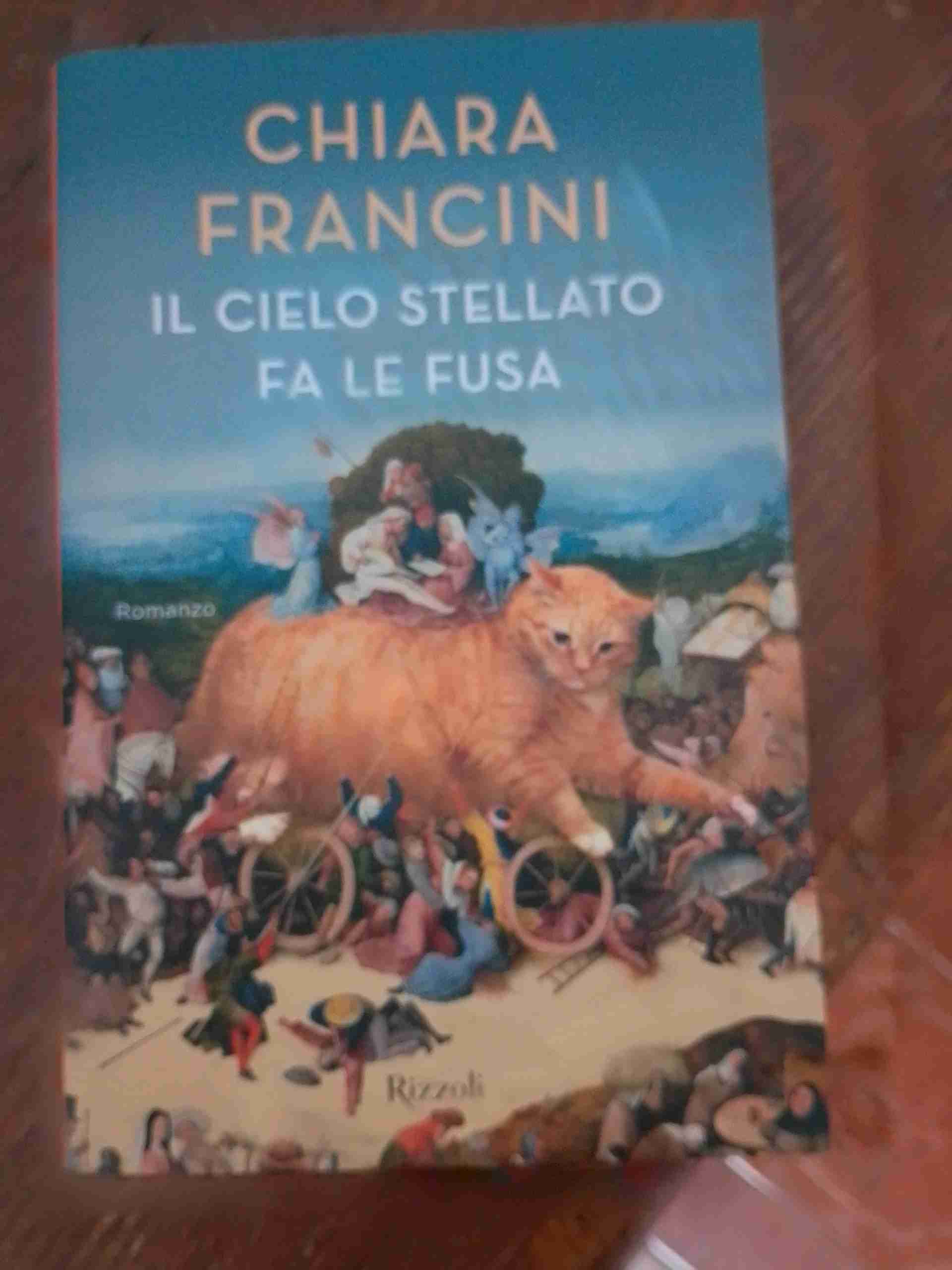 Il cielo stellato fa le fusa libro usato