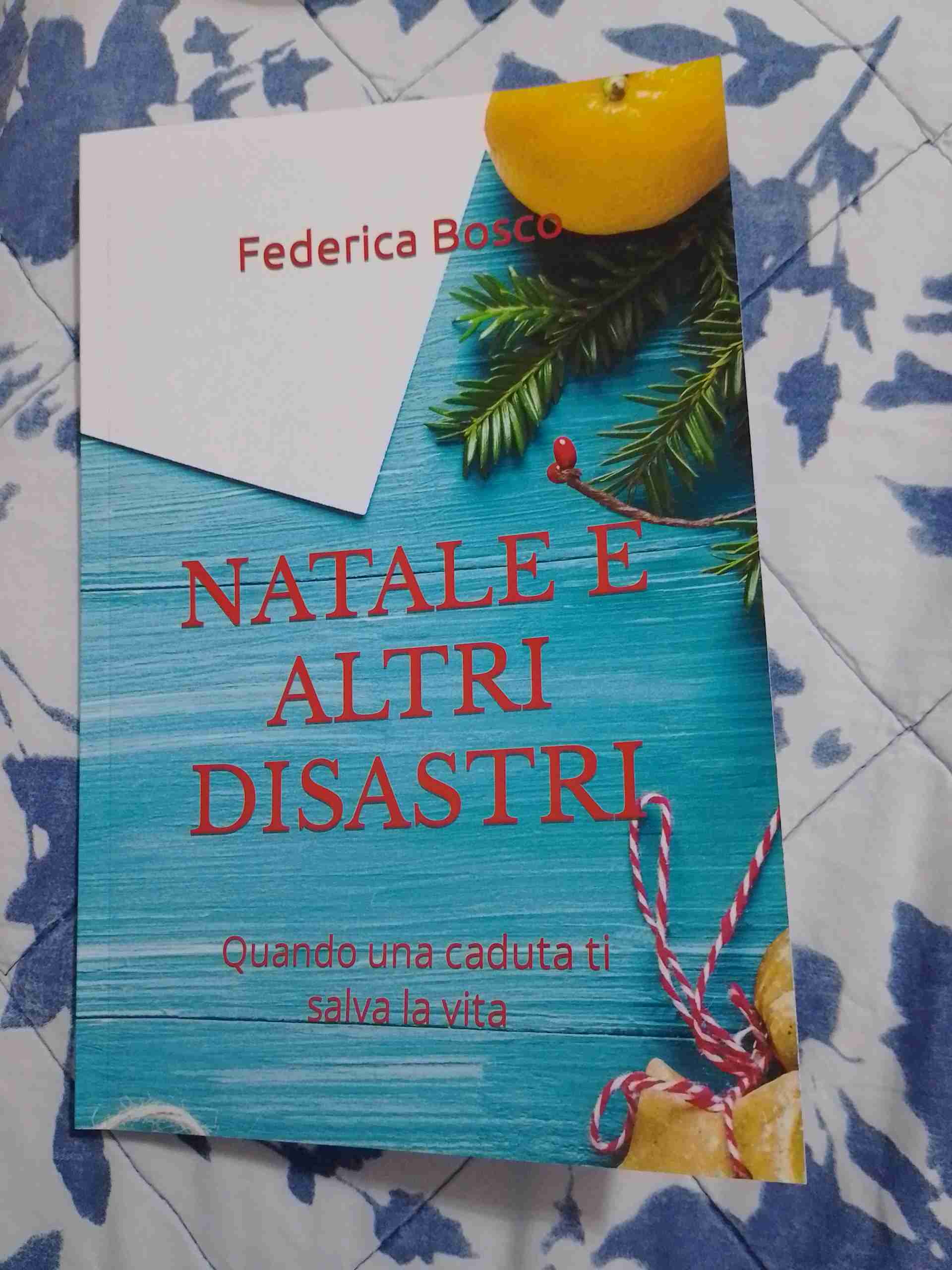 Natale e altri disastri  libro usato