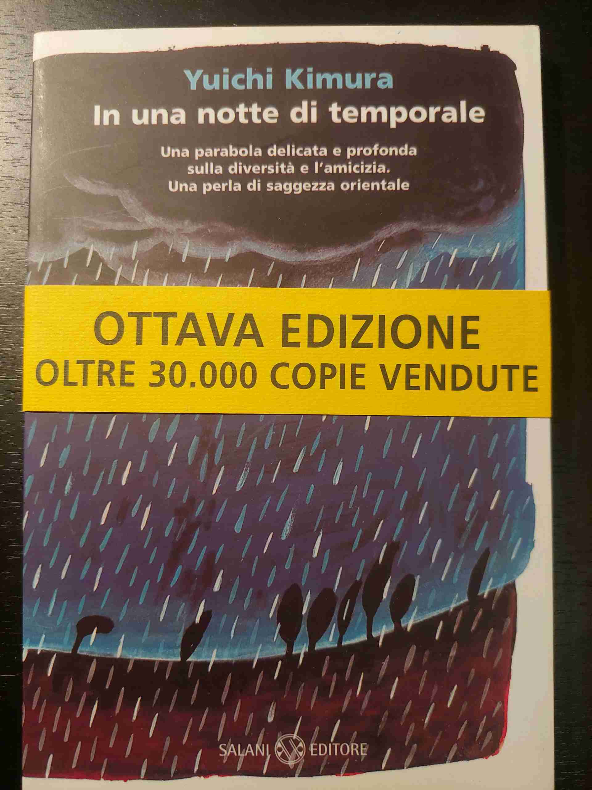 In una notte di temporale libro usato