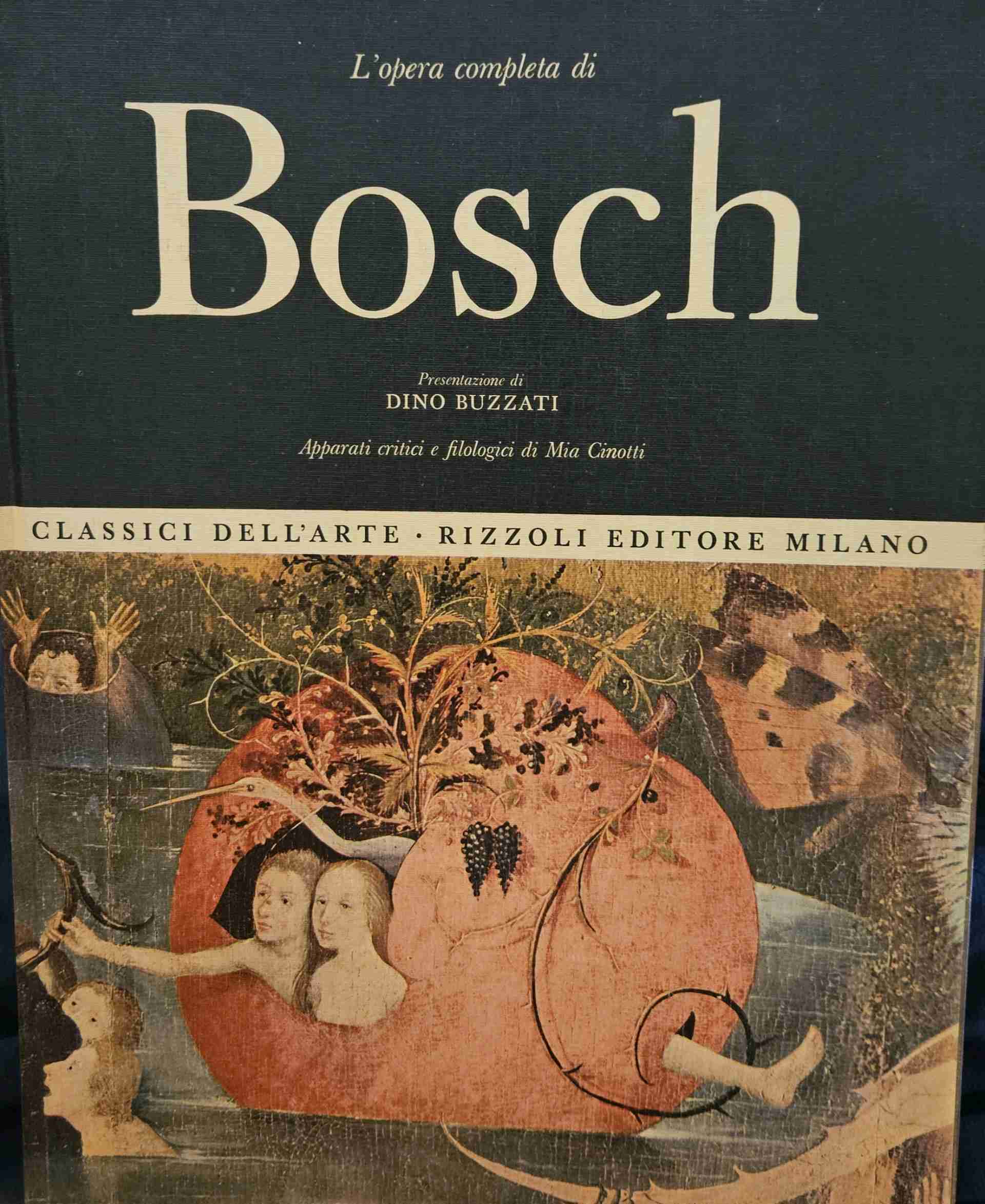 BOSCH L'OPERA COMPLETA libro usato