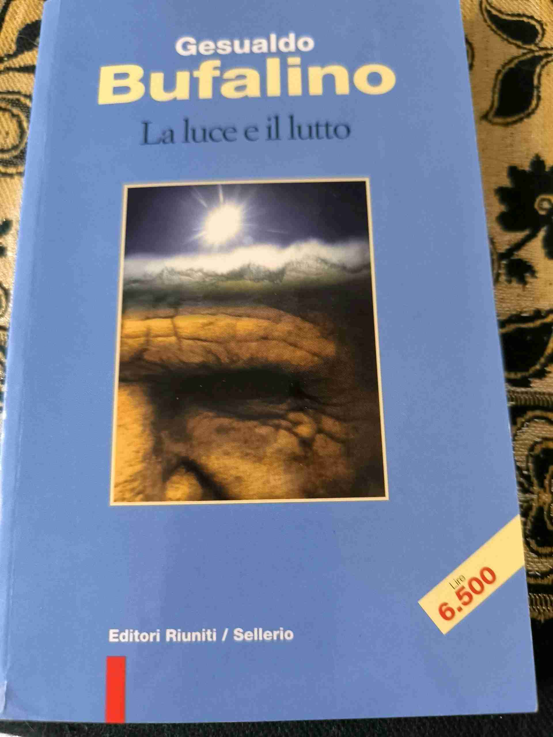 La Luce e il lutto libro usato