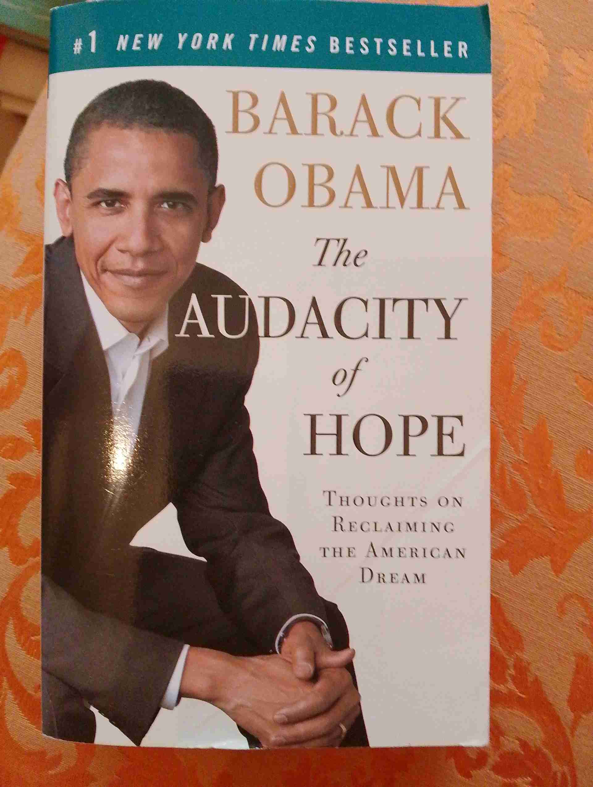 The audacity of hope libro usato