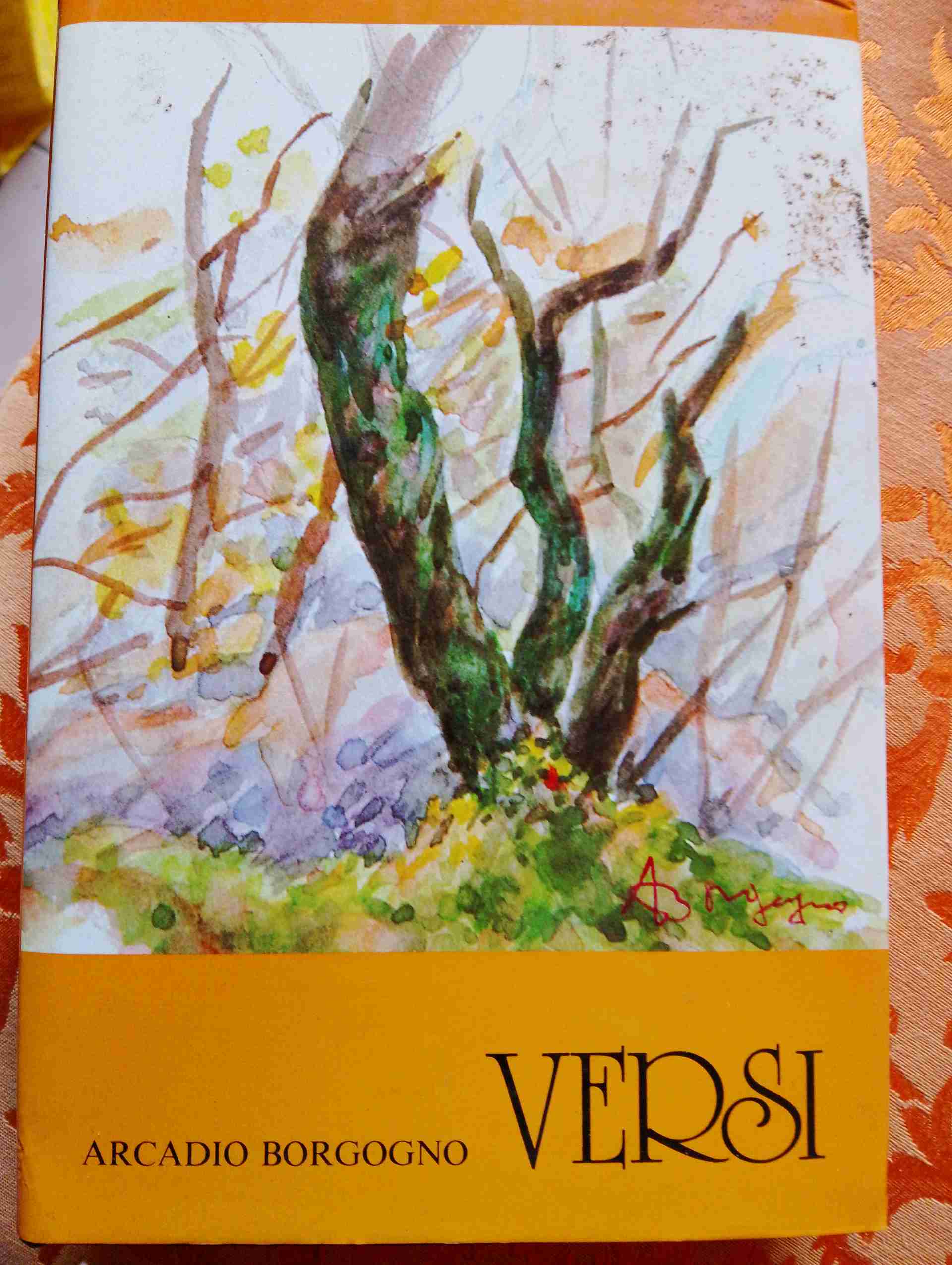 Versi vol. II libro usato