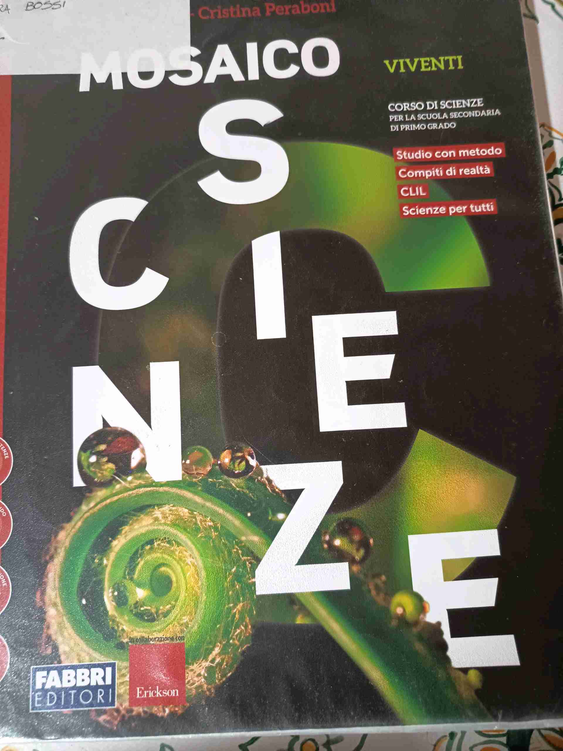 Mosaico scienze. Per la Scuola media. Vol. C libro usato