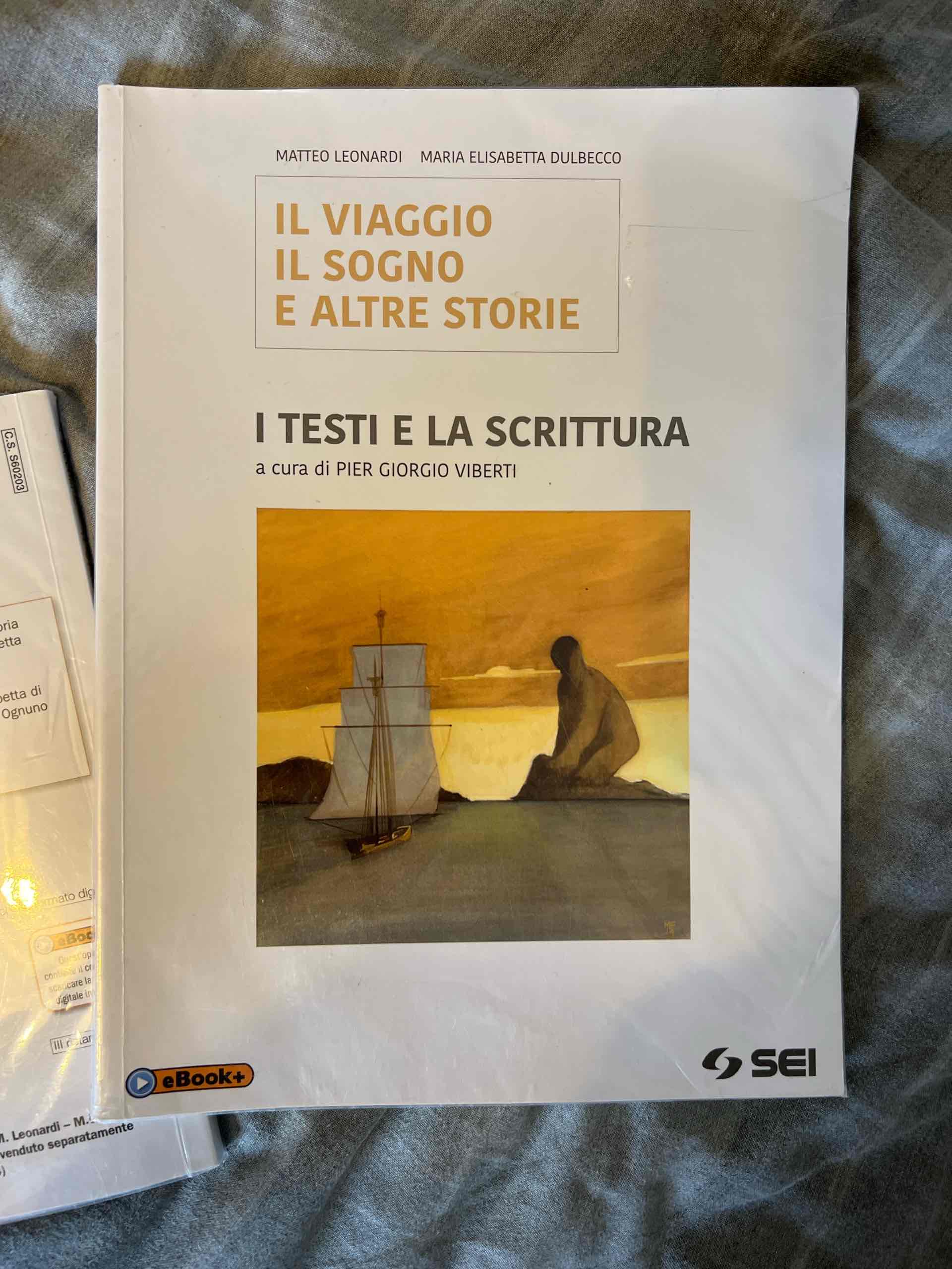 Viaggio, il sogno e altre storie. I testi e la scrittura. Per le Scuole superiori. Con e-book. Con espansione online (Il) libro usato