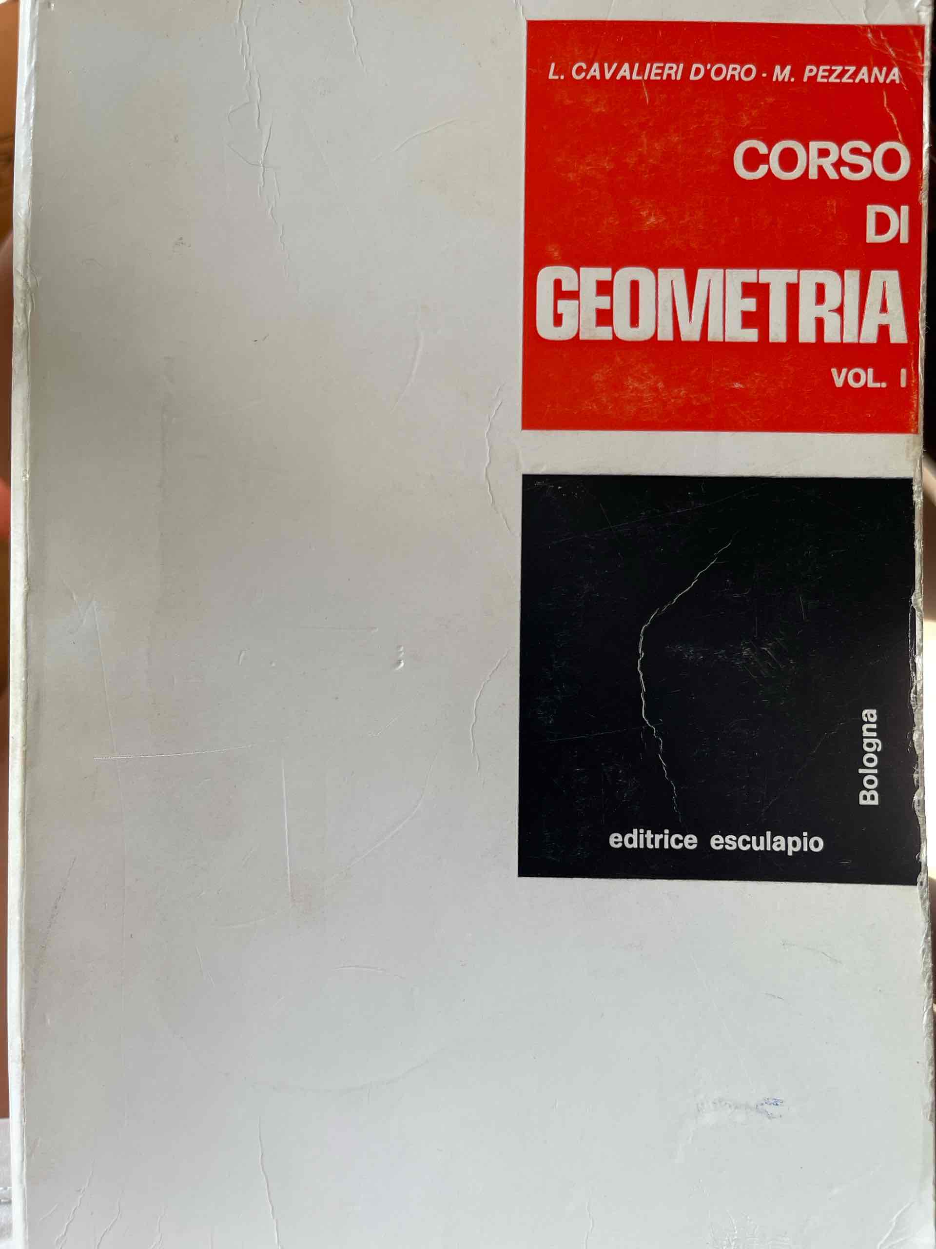 Corso di geometria vol. I libro usato