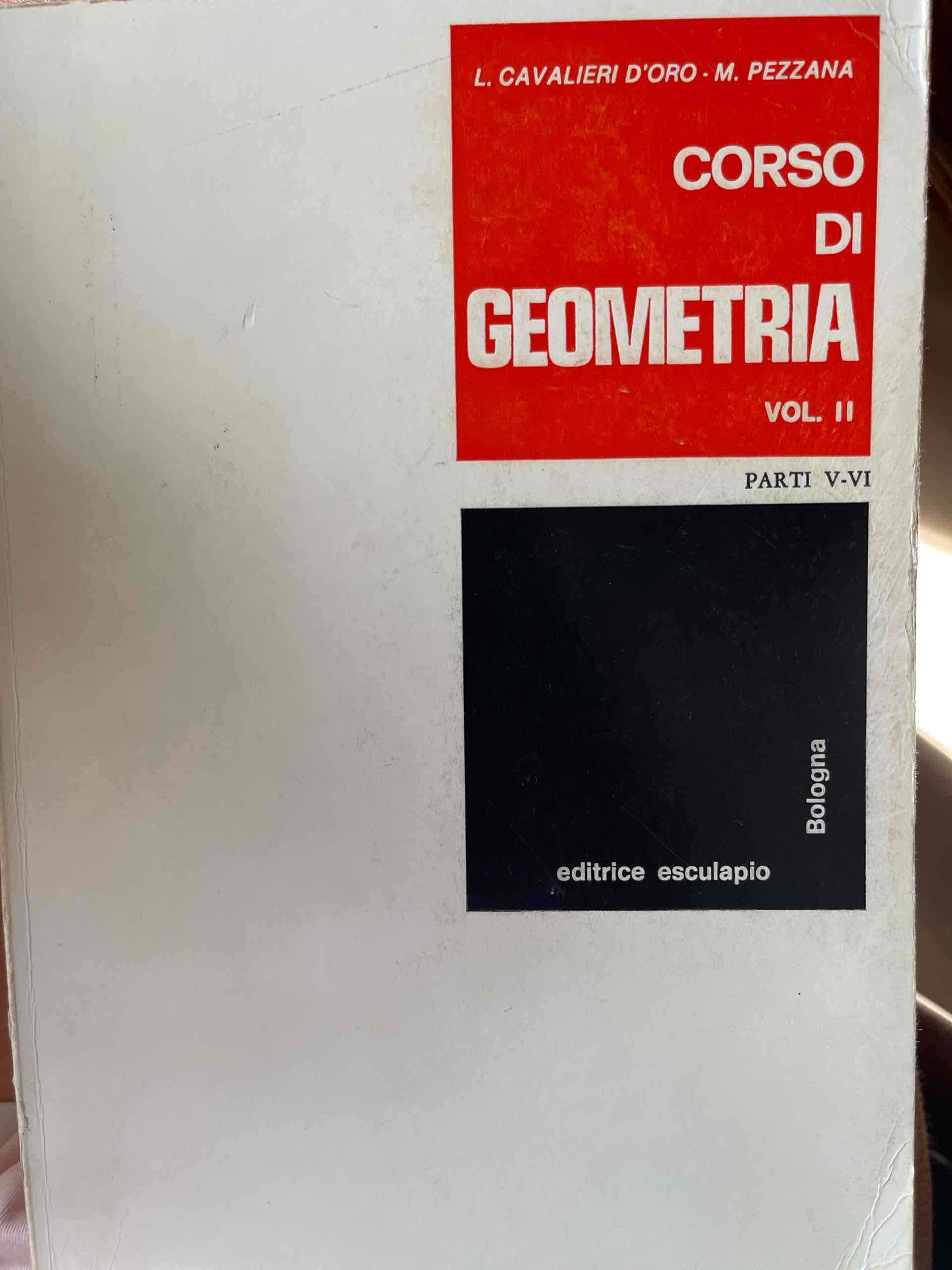 Corso di geometria vol. II libro usato