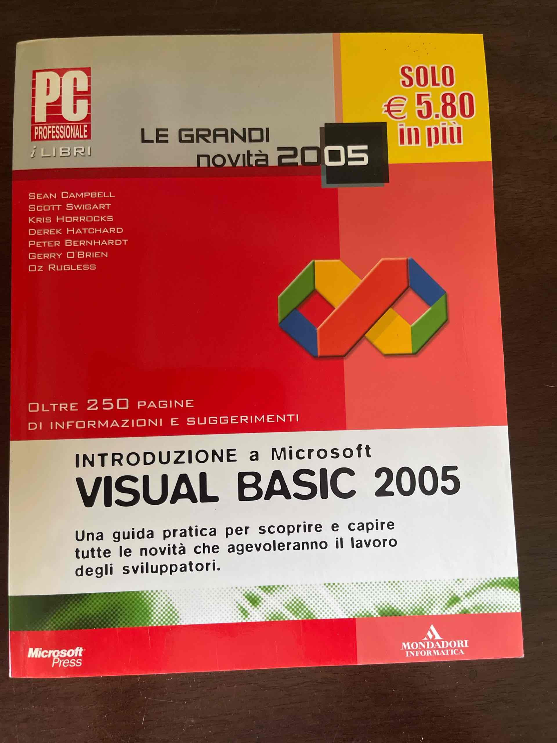 Visual basic 2005 libro usato