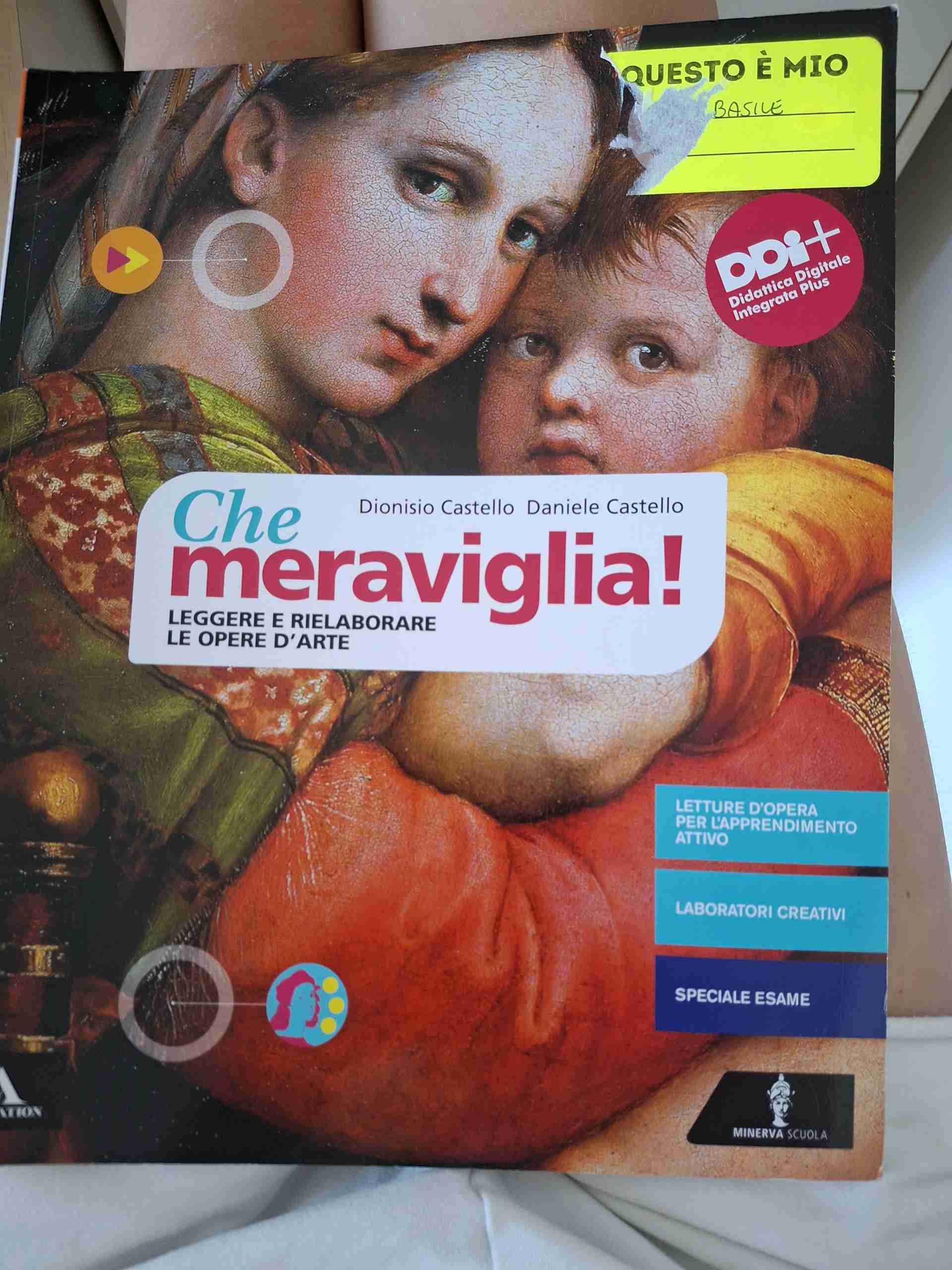 Che meraviglia! libro usato