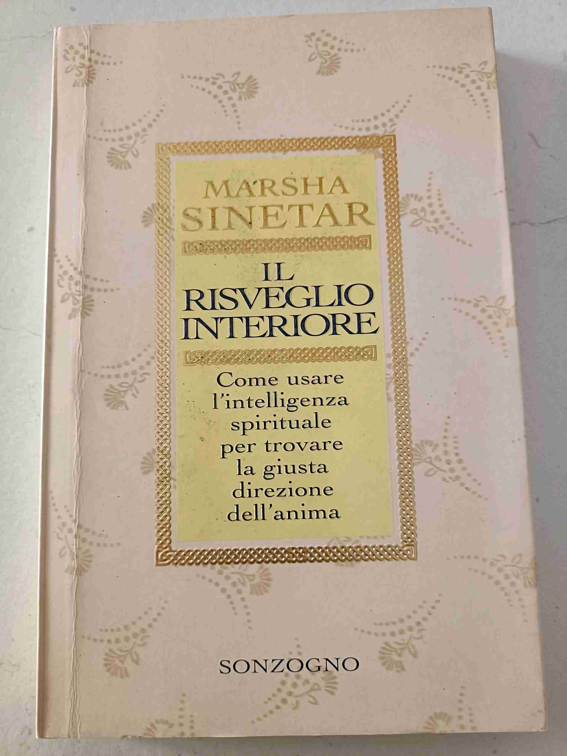 Il risveglio interiore libro usato