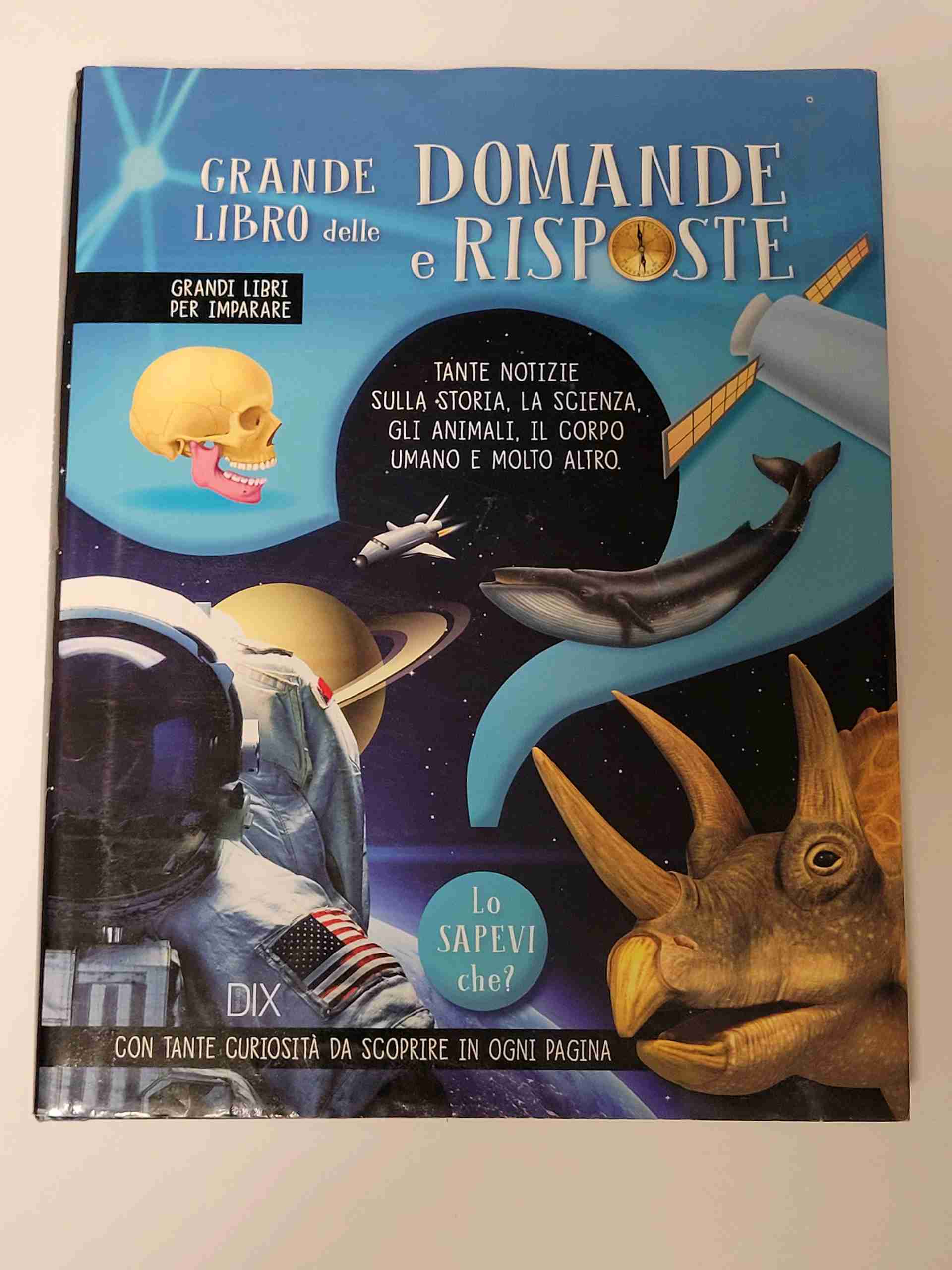 Grande libro delle domande e risposte libro usato