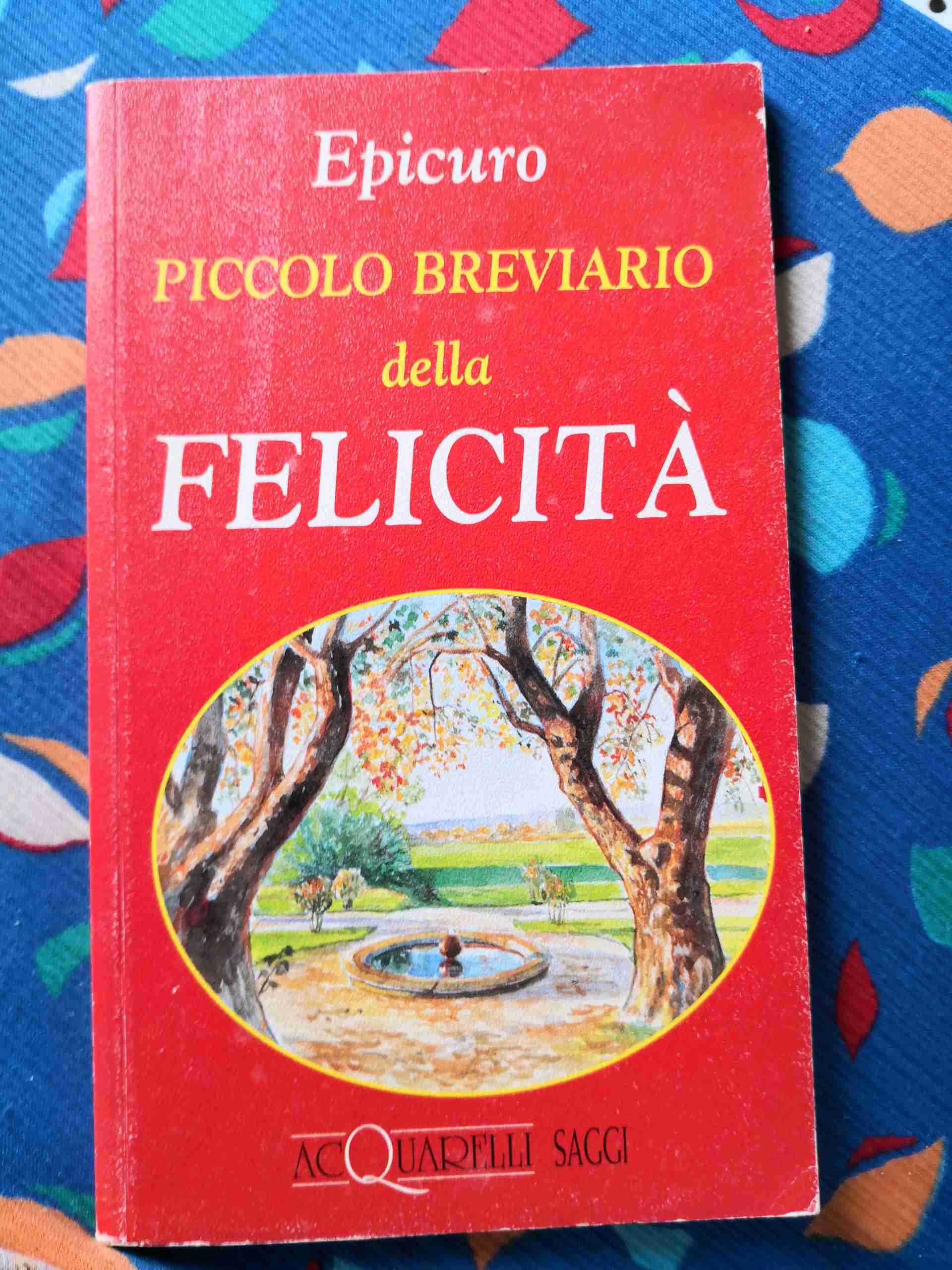 Piccolo breviario della felicità libro usato