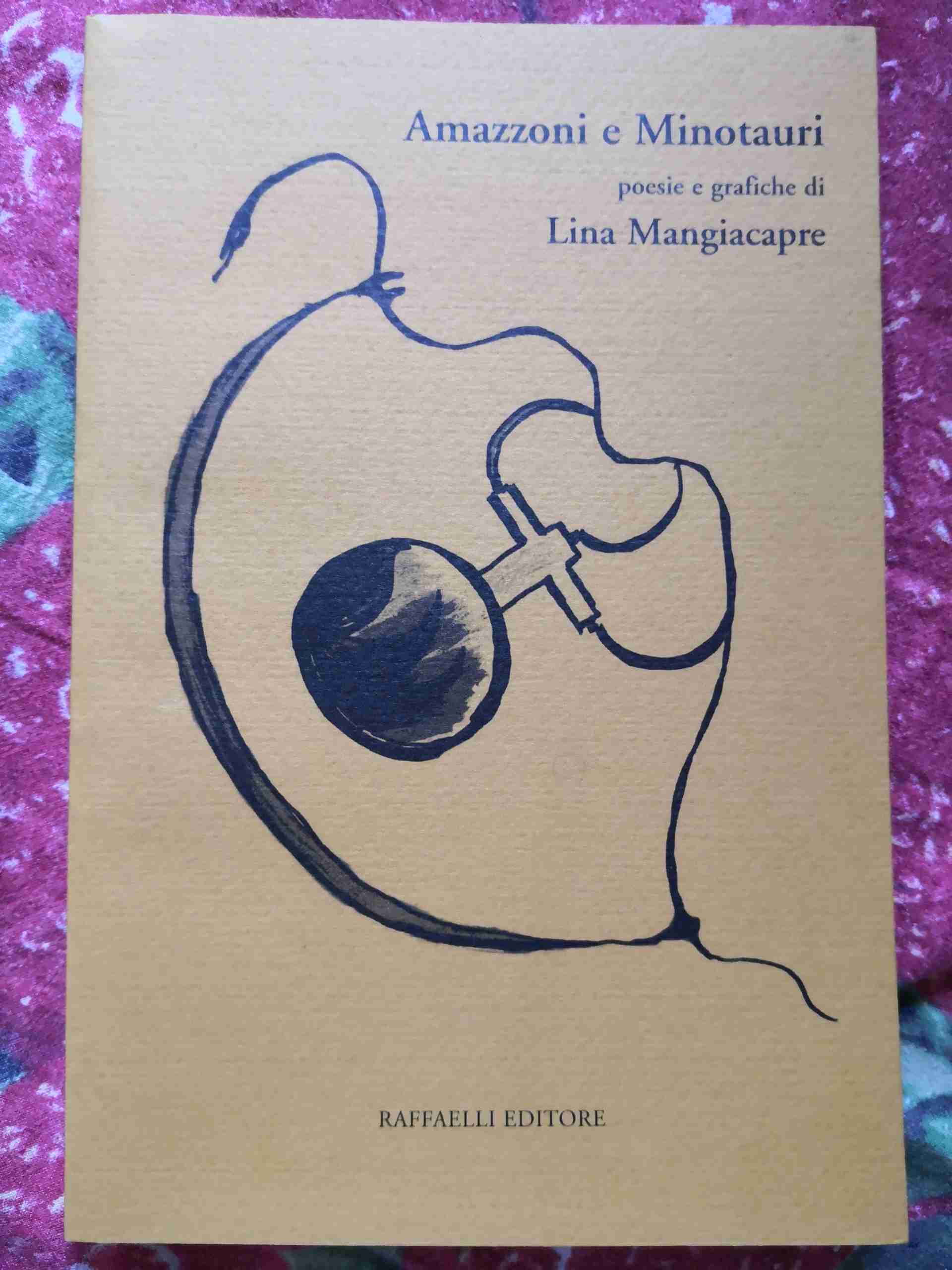 Amazzoni e Minotauri libro usato