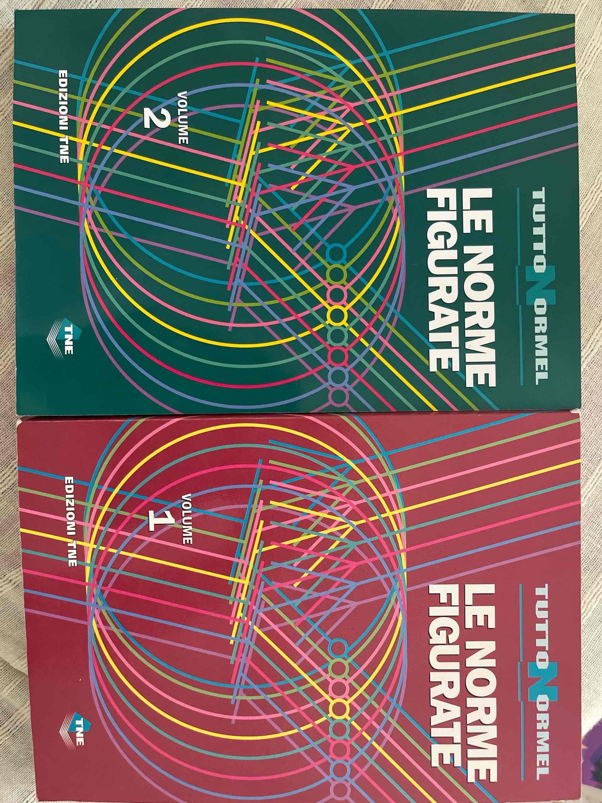 Le norme figurate Volumi 1 e 2 libro usato