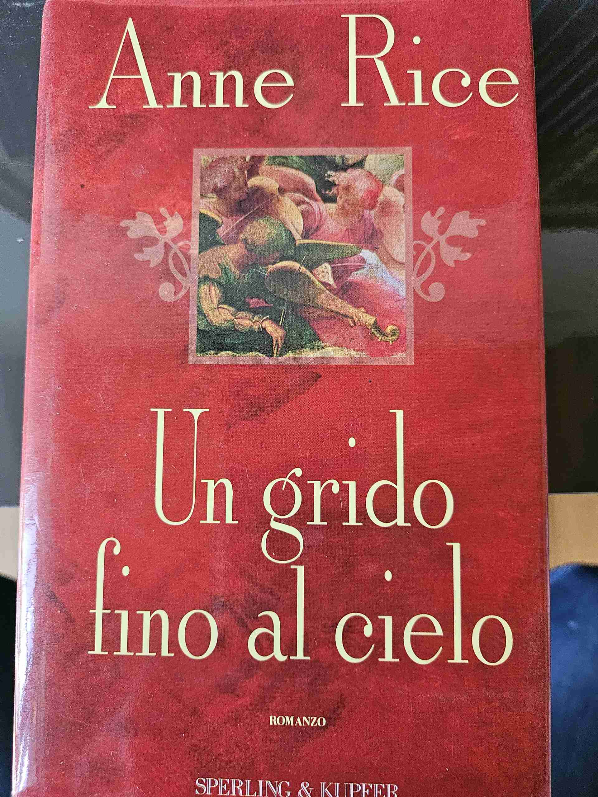 Un grido fino al cielo libro usato