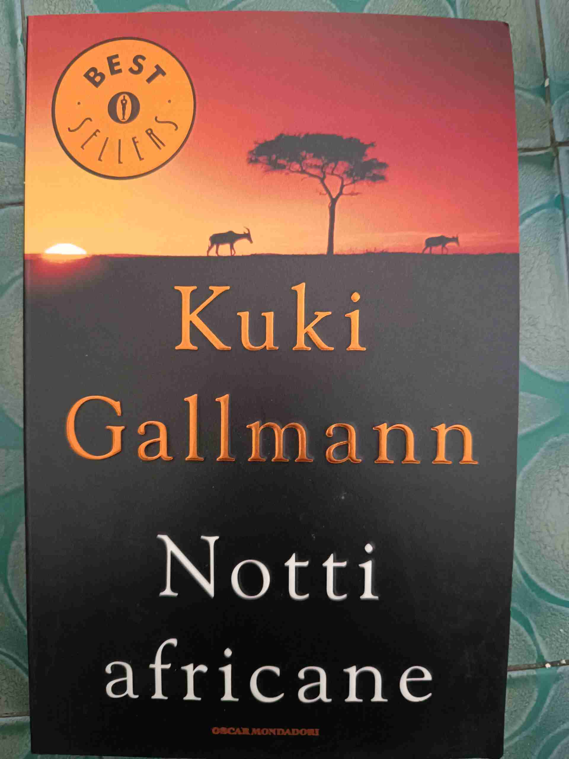 Notti africane libro usato