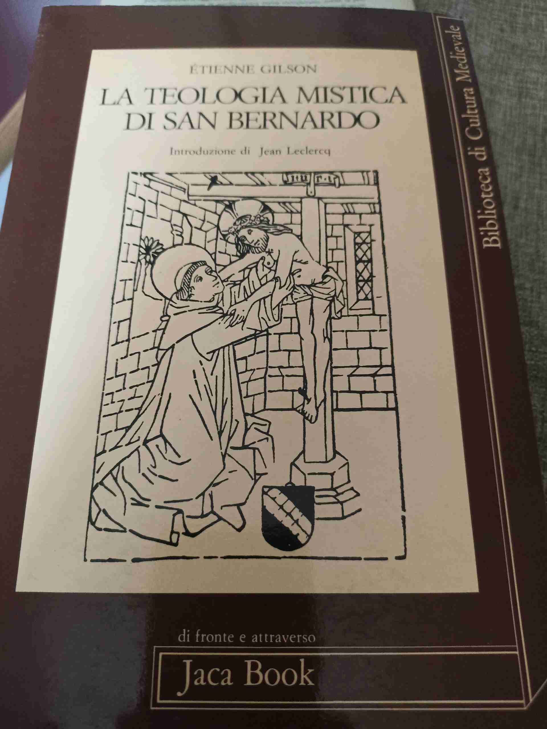 la teologia mistica di san Bernardo  libro usato