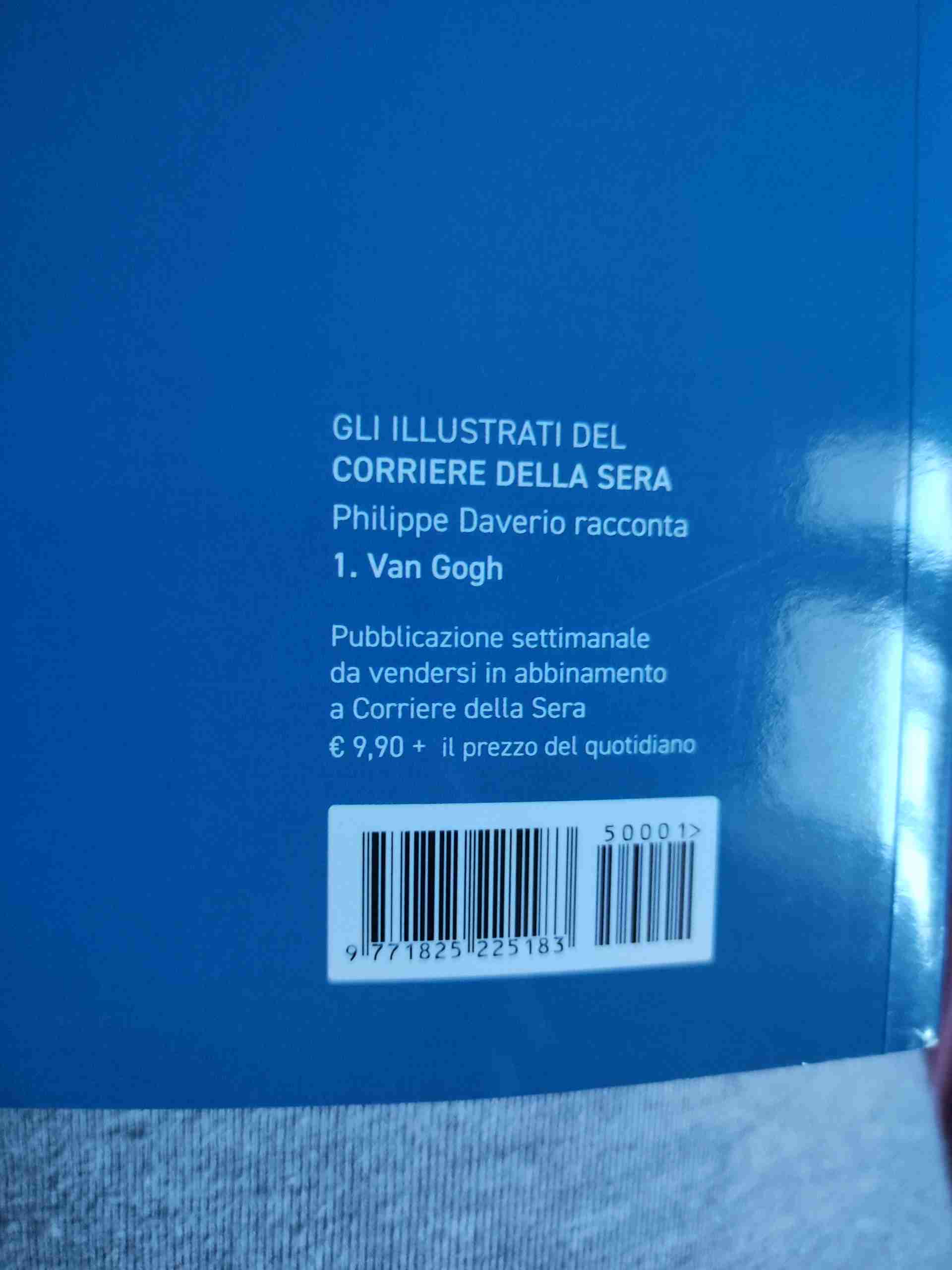 van gogh libro usato