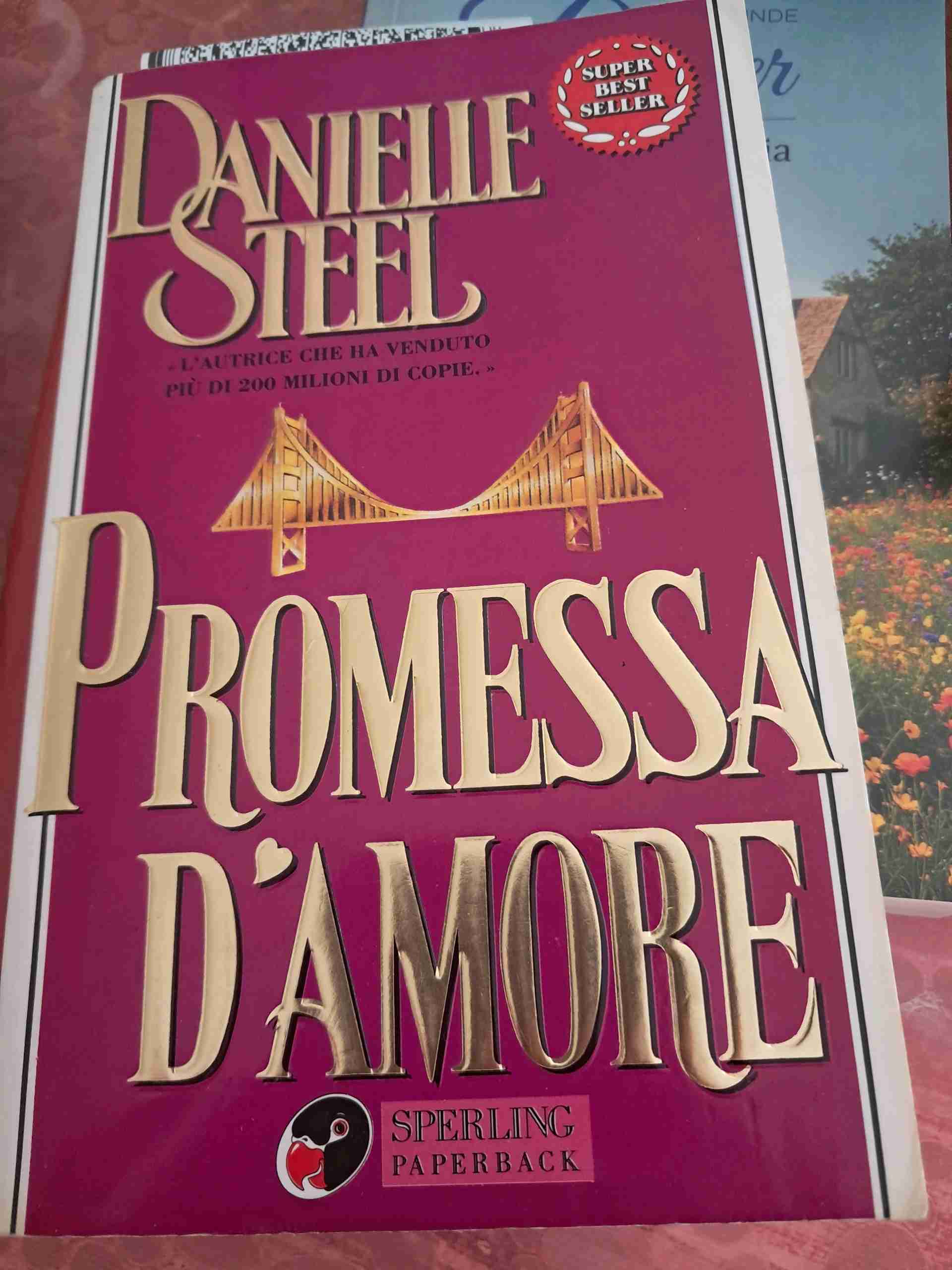 Promessa d'amore libro usato
