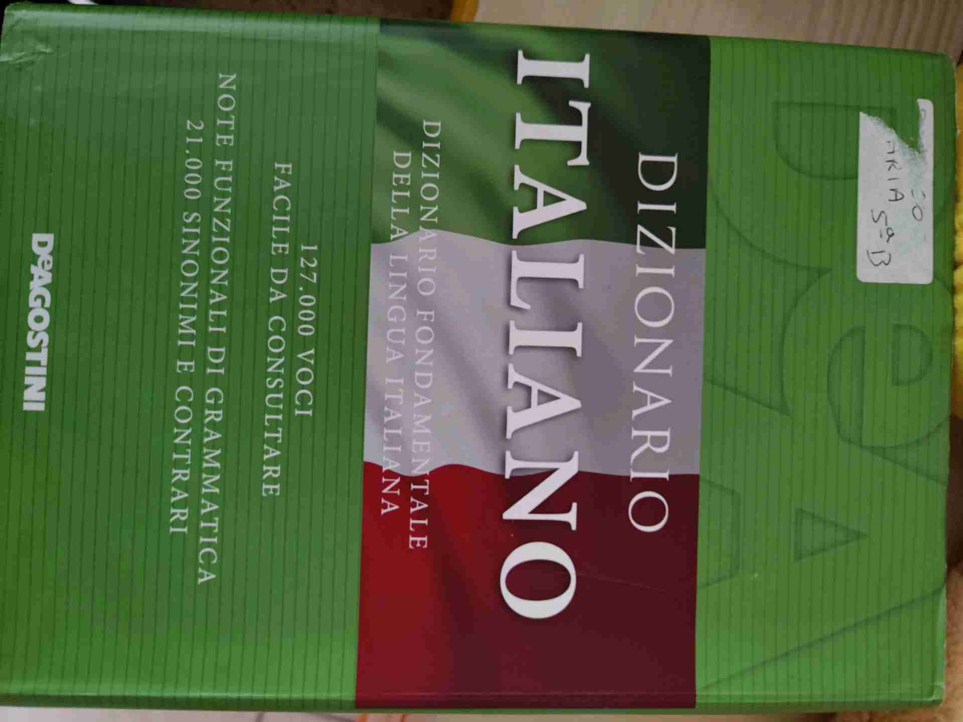 dizionario italiano  libro usato