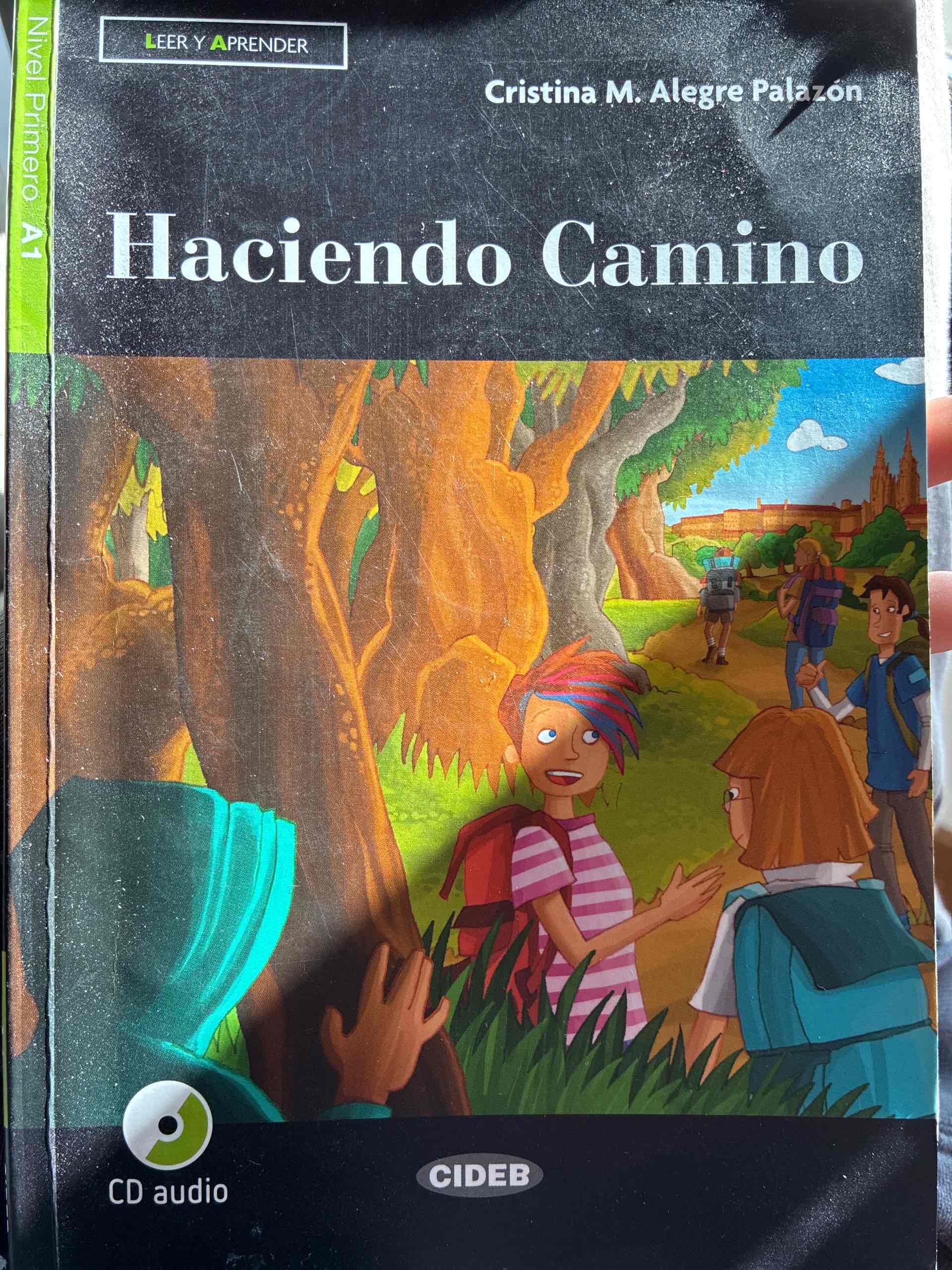 Haciendo camino. Livello A1. Con file audio MP3 scaricabili libro usato