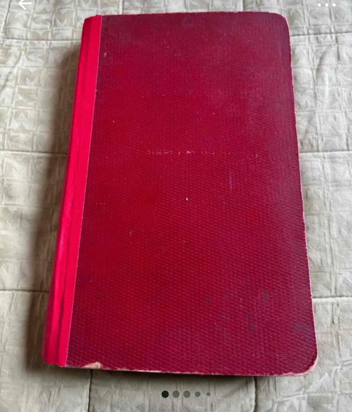 Il diario di Gaby Angelini  libro usato