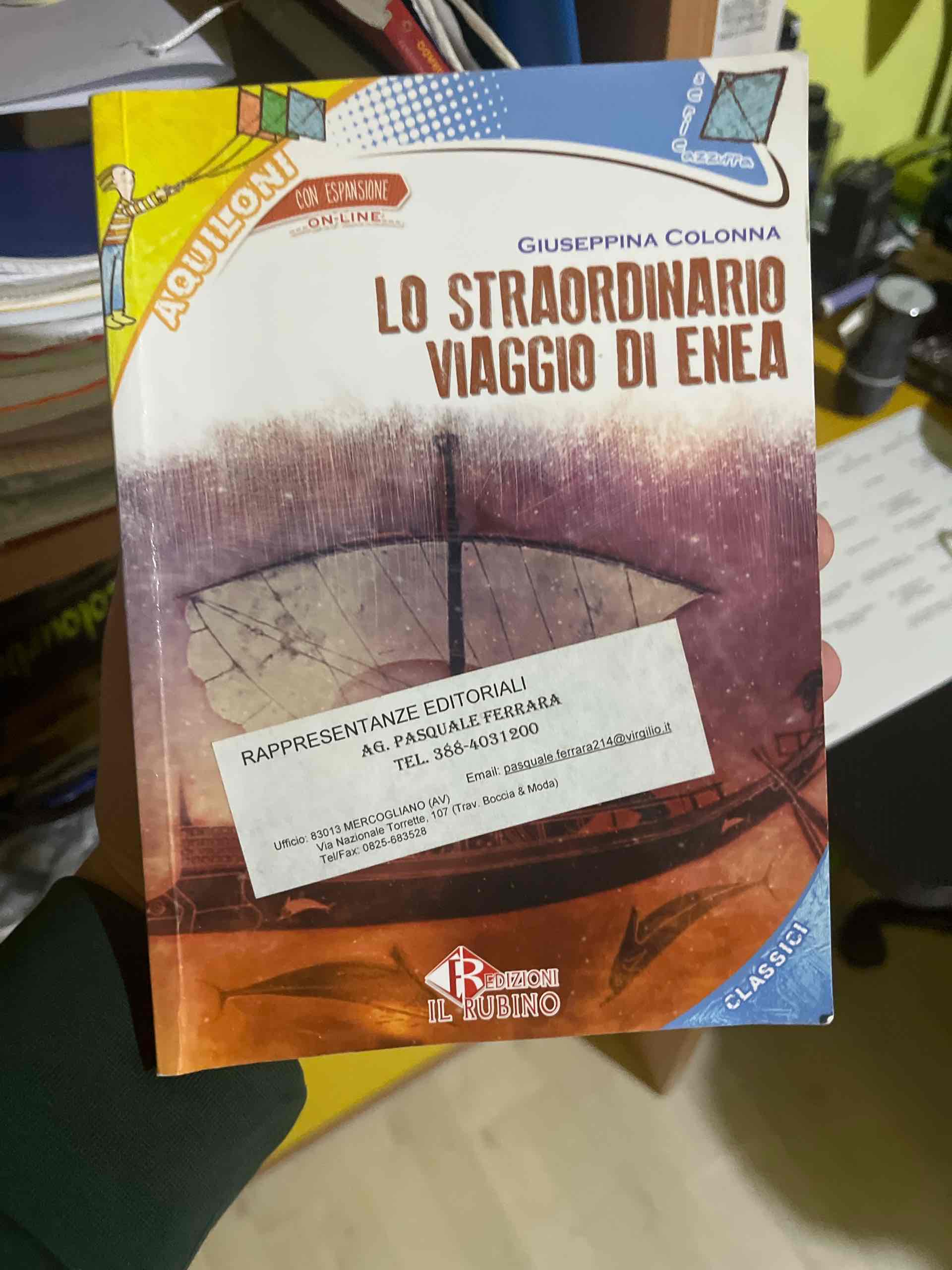 Straordinario viaggio di Enea. Con espansione online (Lo) libro usato