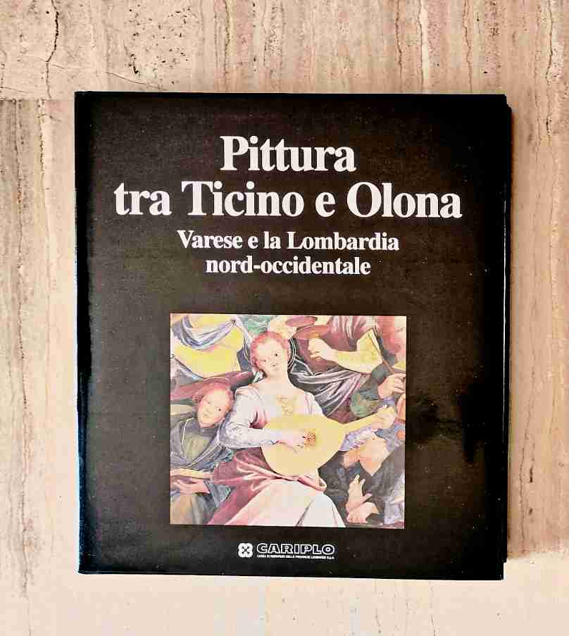 Pittura tra Ticino e Olona. Varese e la Lombardia nord-occidentale libro usato