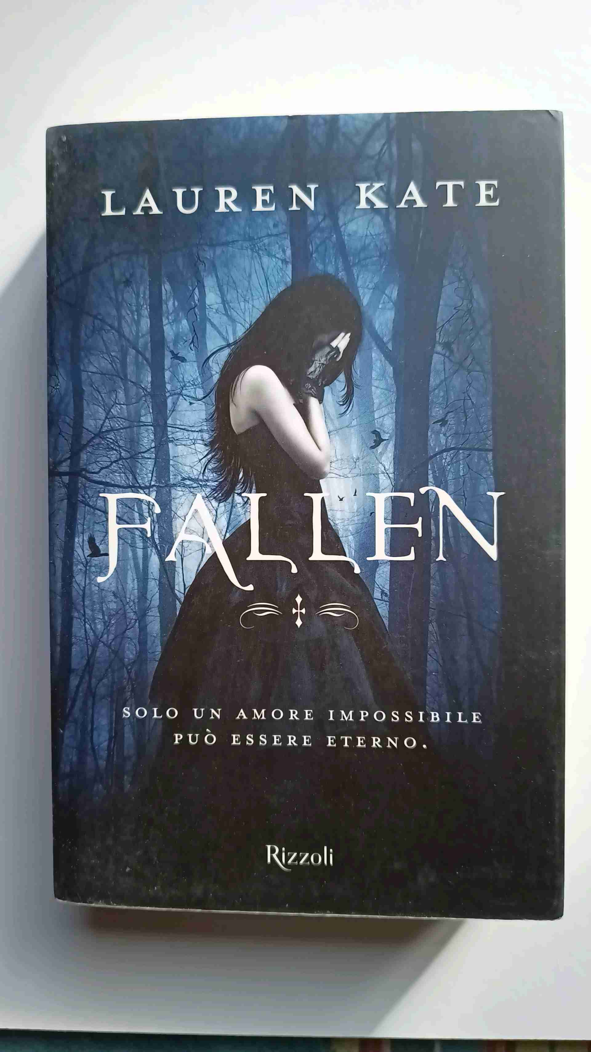 Fallen libro usato
