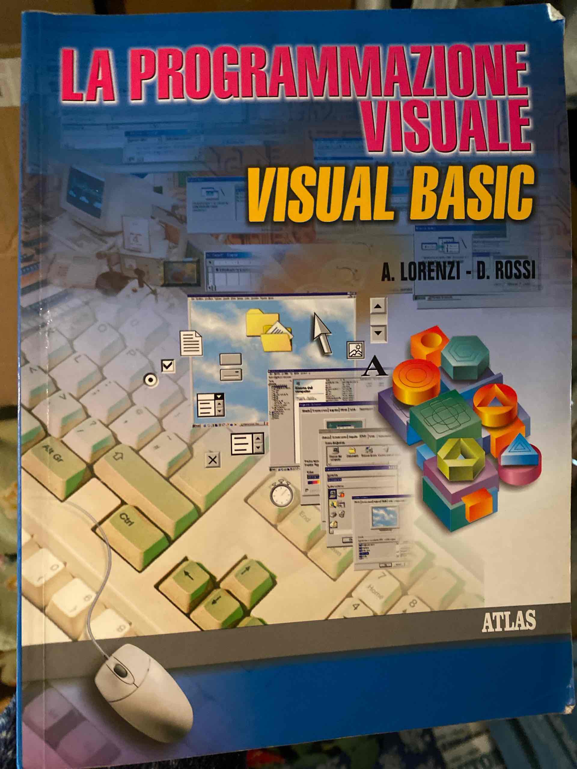 Visual Basic. Per le Scuole superiori libro usato