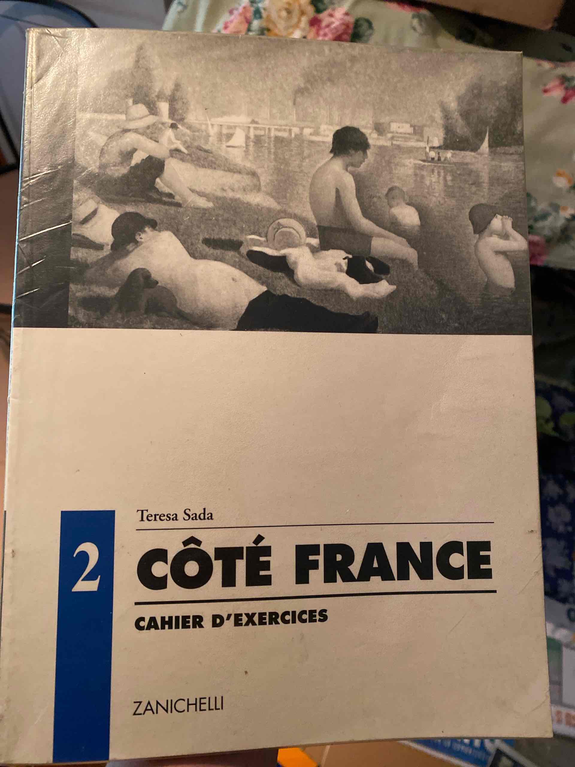 Côté France. Méthode progressive qui intègre théories de l'apprentissage et acquis linguistique. Cahier d'exercices. Per le Scuole (2) libro usato