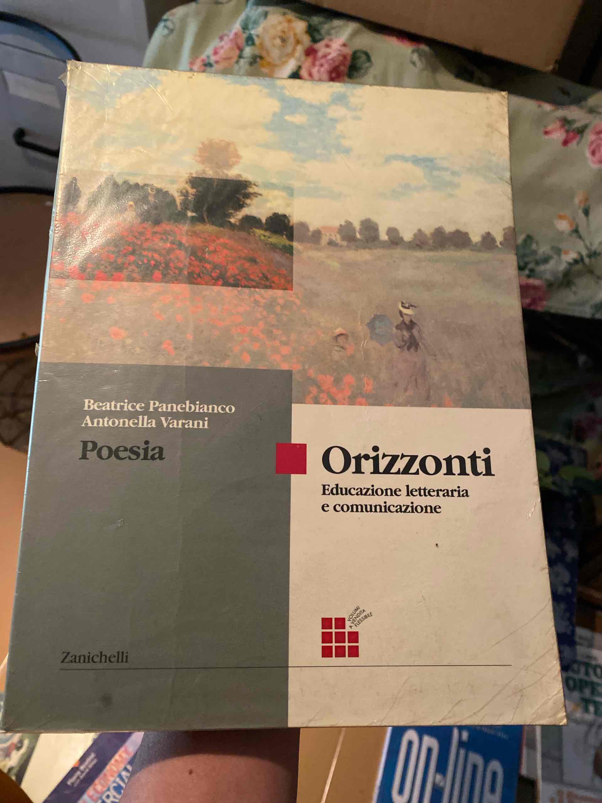 Orizzonti. Poesia. Per le Scuole superiori libro usato