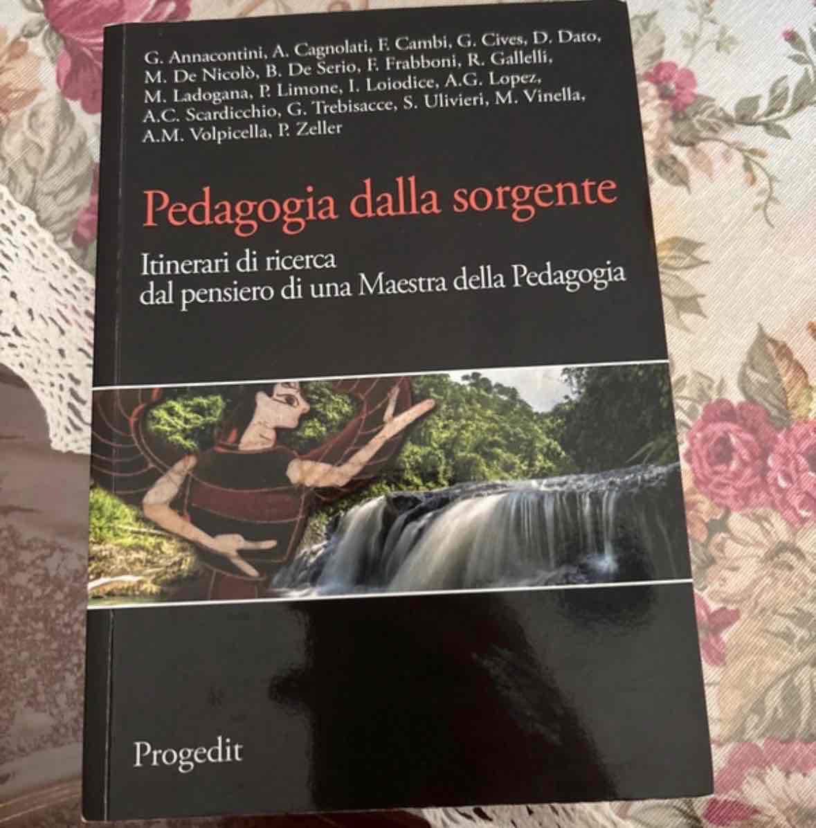 la pedagogia della sorgente  libro usato