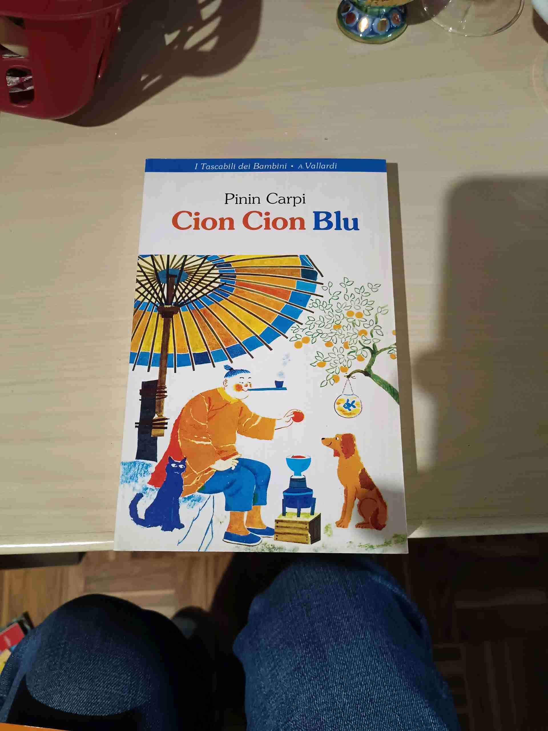 Cion Cion Blu libro usato