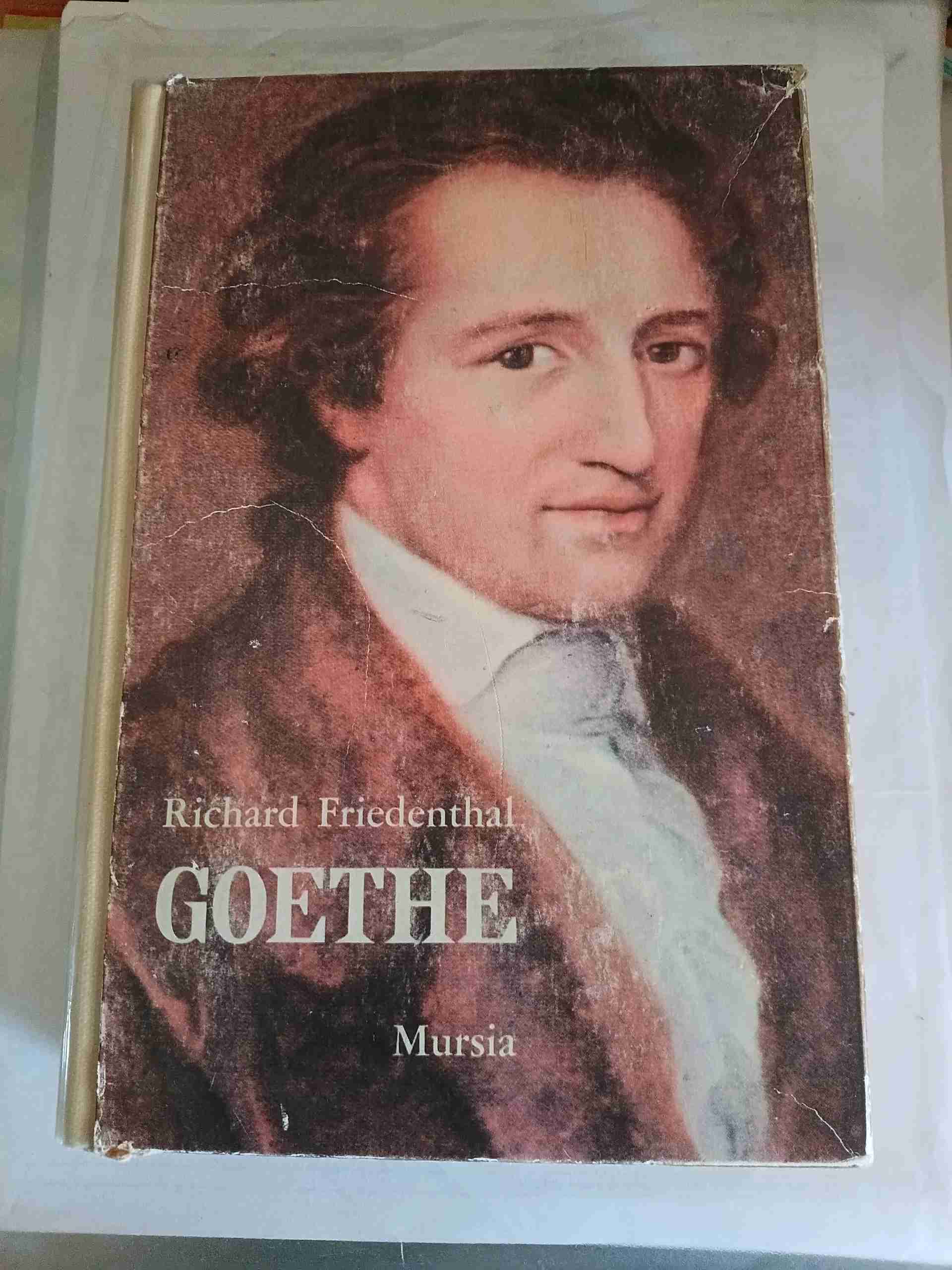 GOETHE libro usato
