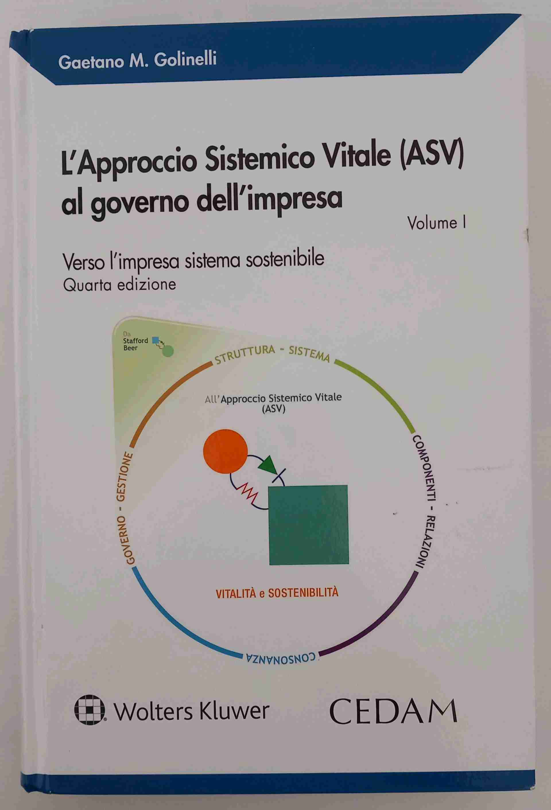 L'Approccio Sistemico Vitale (ASV) al governo dell'impresa. Vol. I. Verso l'impresa sistema sostenibile. Quarta edizione libro usato