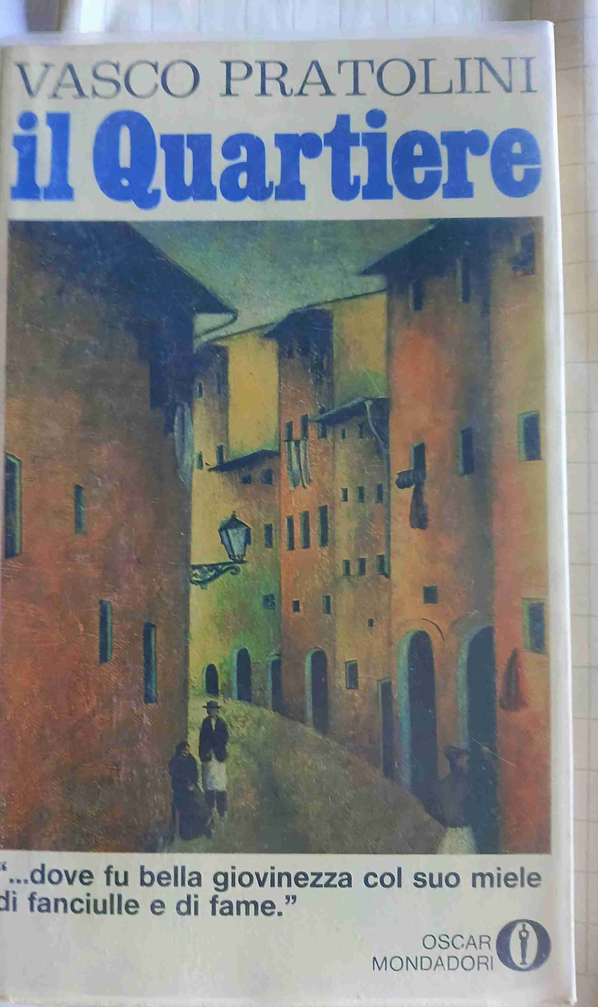 IL QUARTIERE libro usato