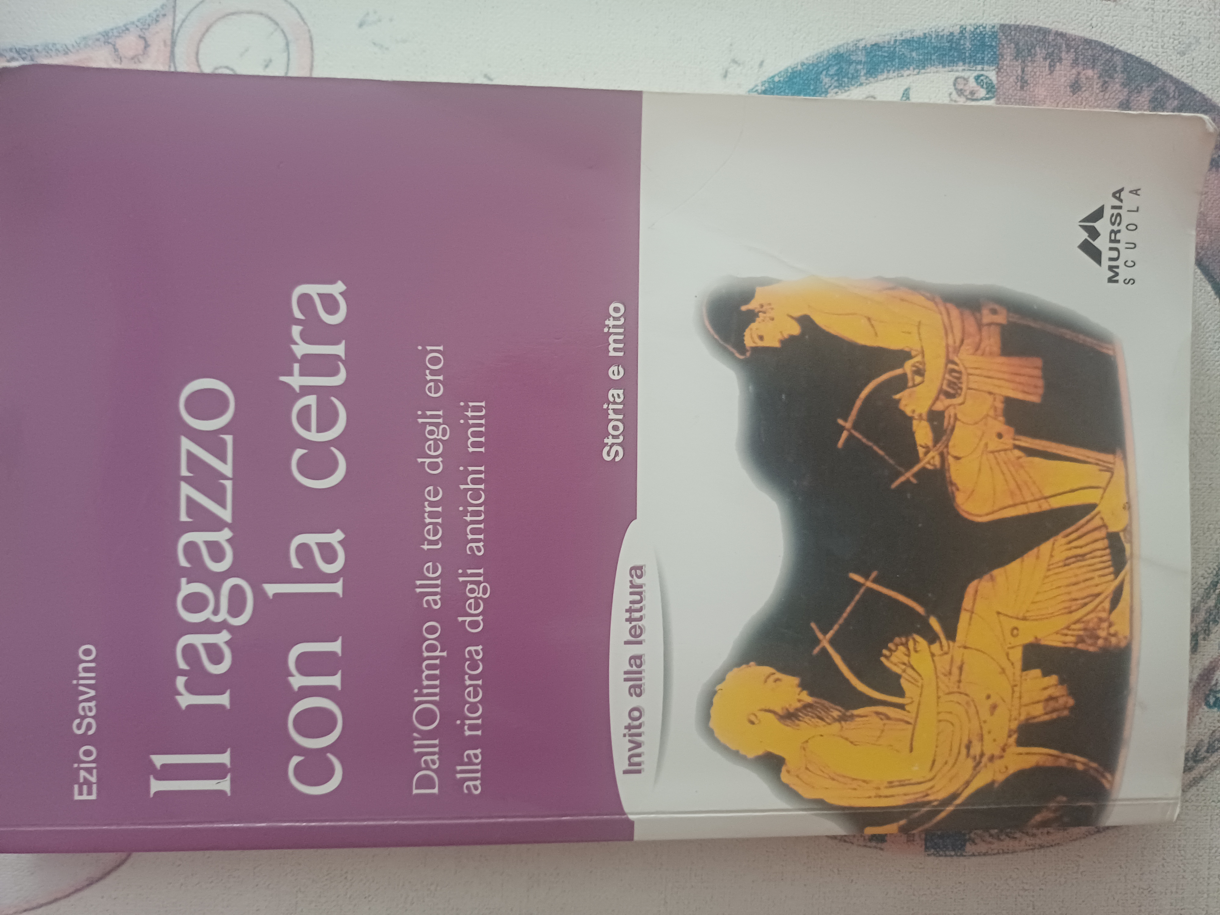 Il ragazzo con la cetra. Dall'Olimpo alle terre degli eroi, alla ricerca degli antichi miti libro usato