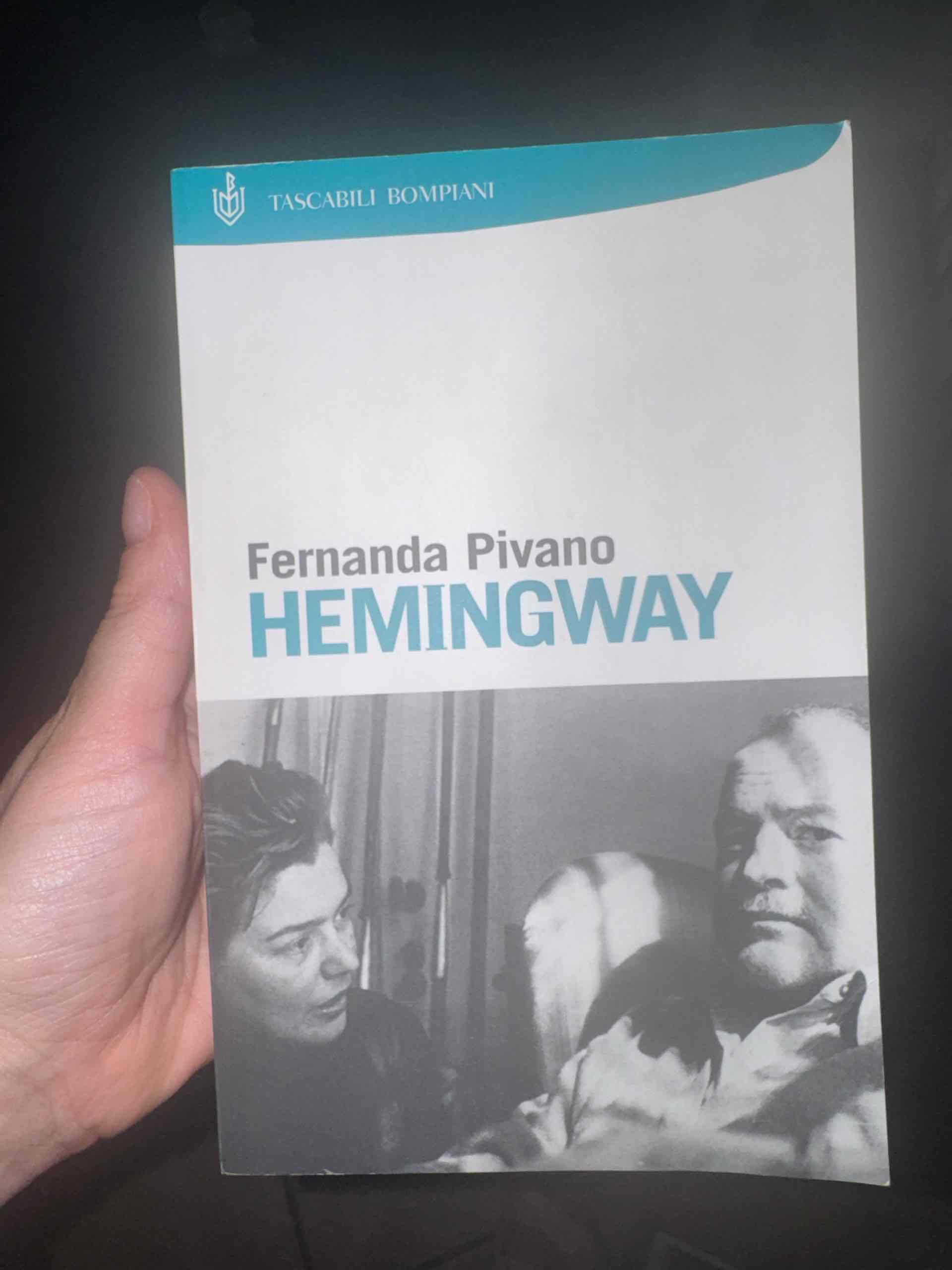 Hemingway libro usato