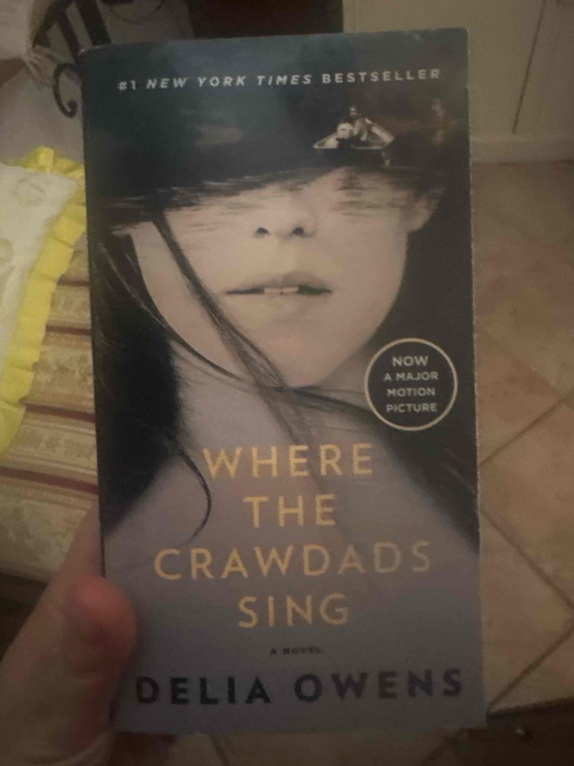 where the crawdads sing libro usato