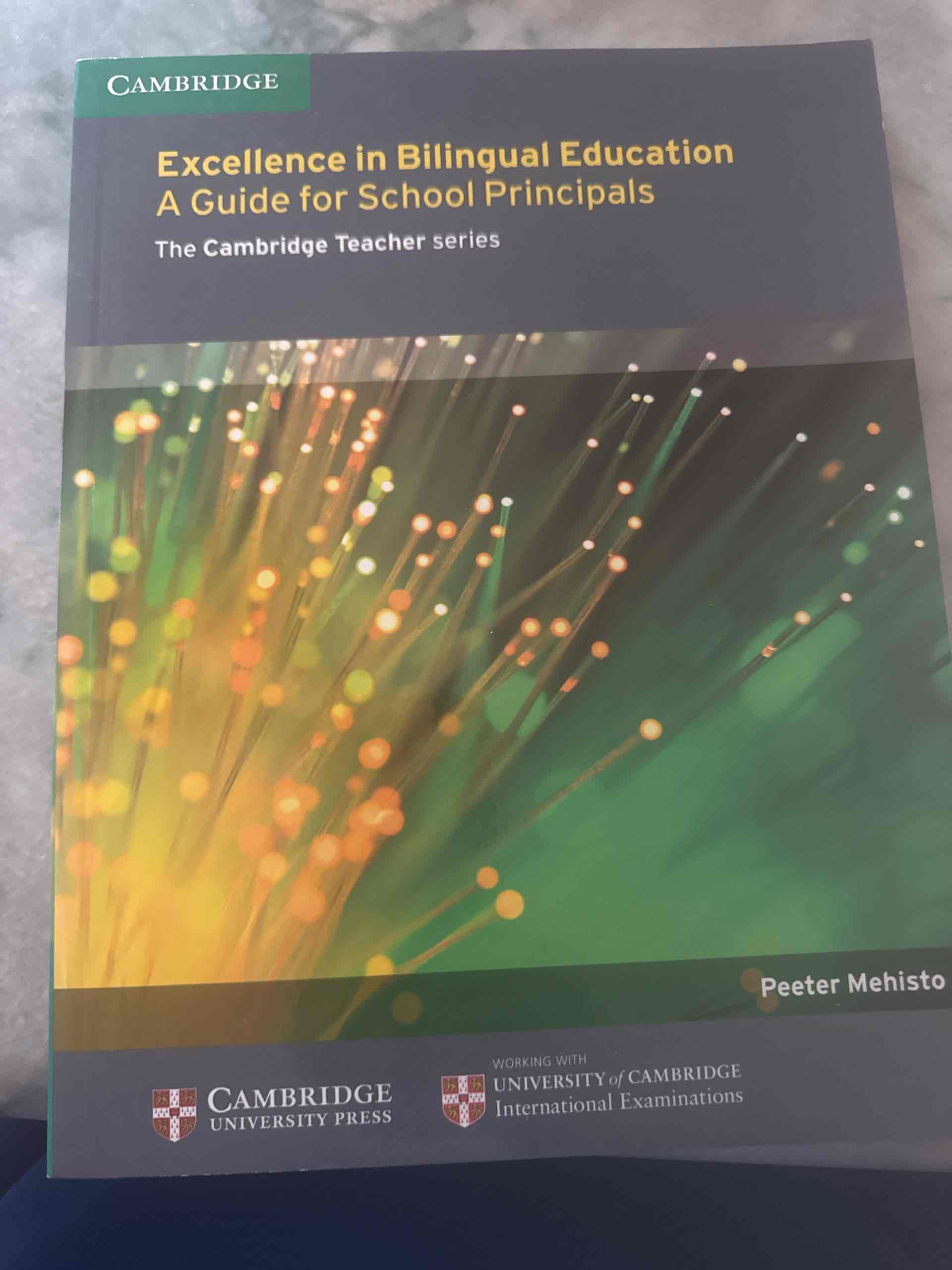 excellence in bilingual education- a guide for school principals libro usato