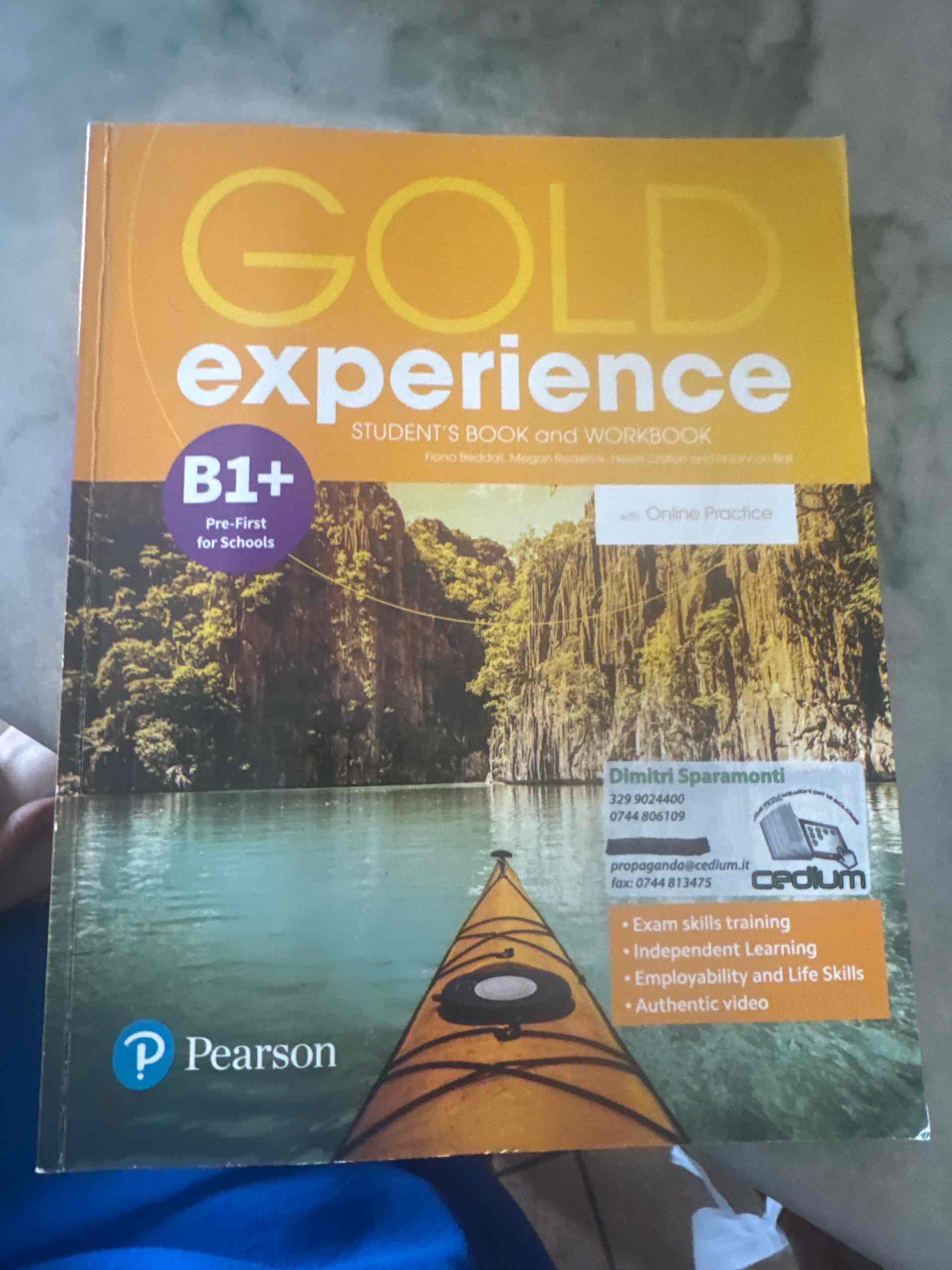 gold experience b1+ libro usato