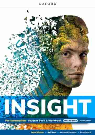 INSIGHT libro usato